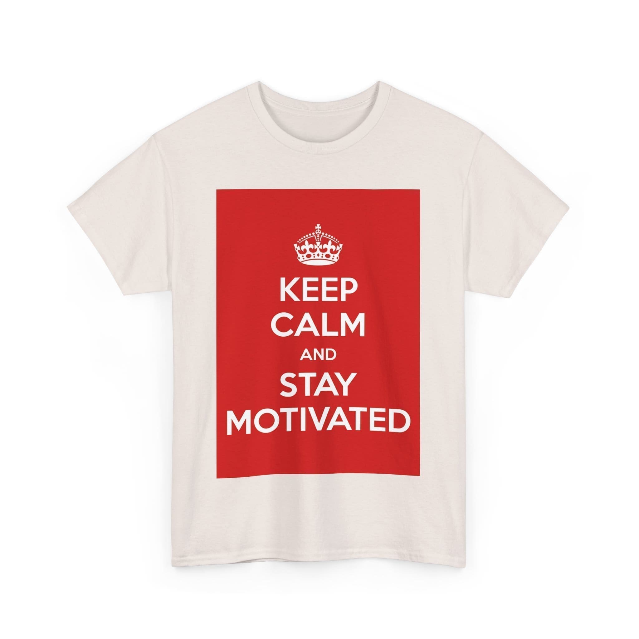 Keep Calm & stay motivated unisex heavy cotton tee  _35_2048.jpeg