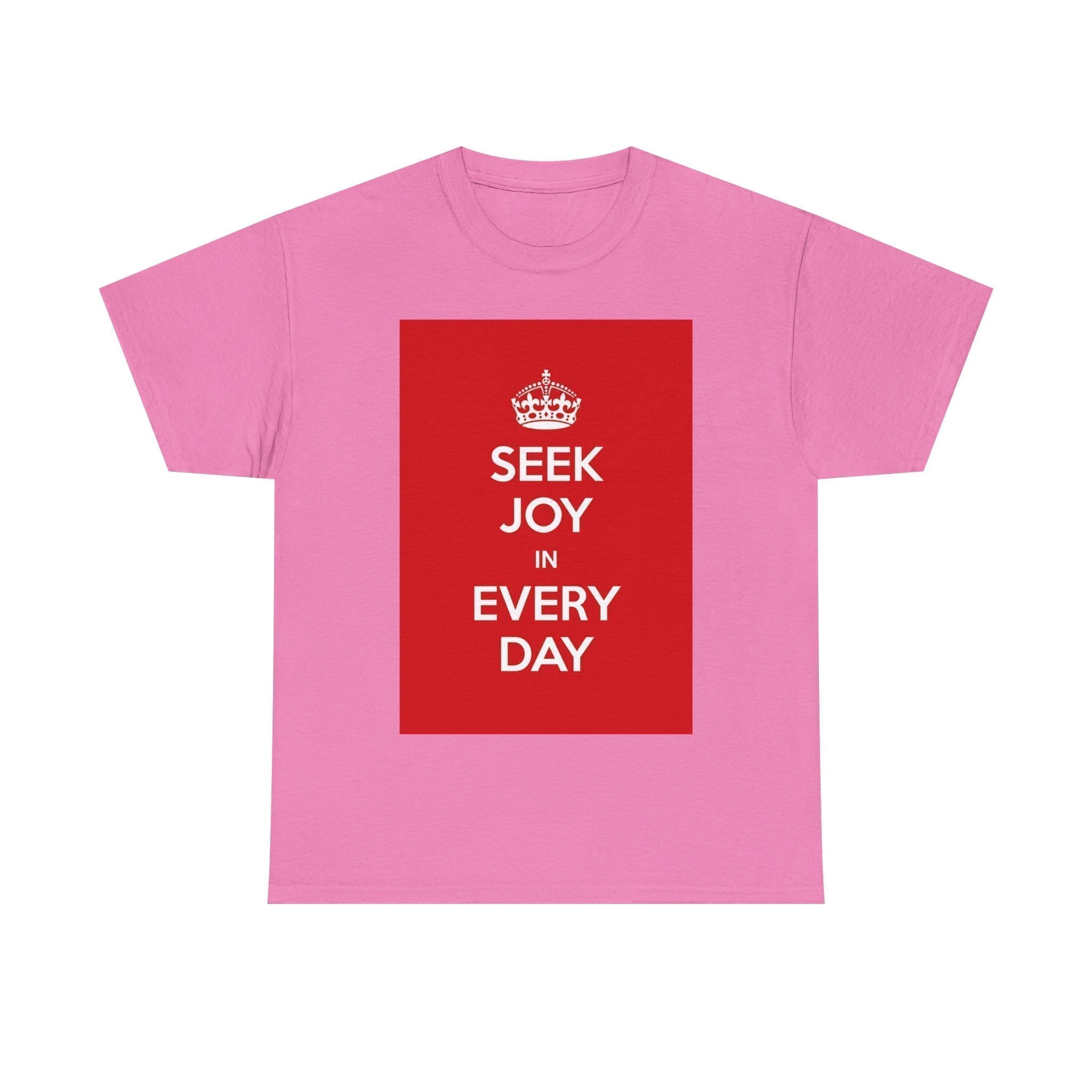 Seek joy in every day unisex heavy cotton tee  _57_2048.jpeg