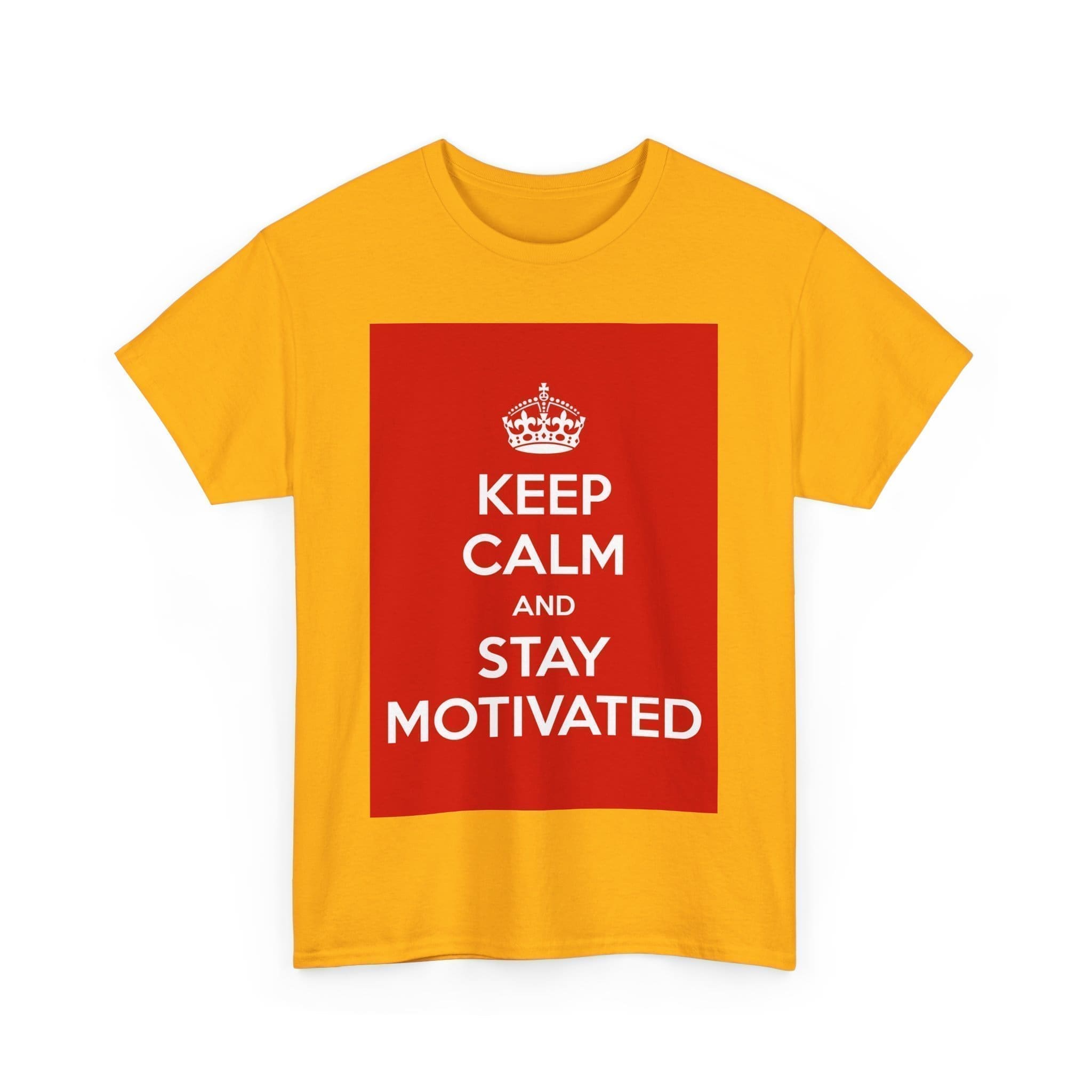 Keep Calm & stay motivated unisex heavy cotton tee  _39_2048.jpeg