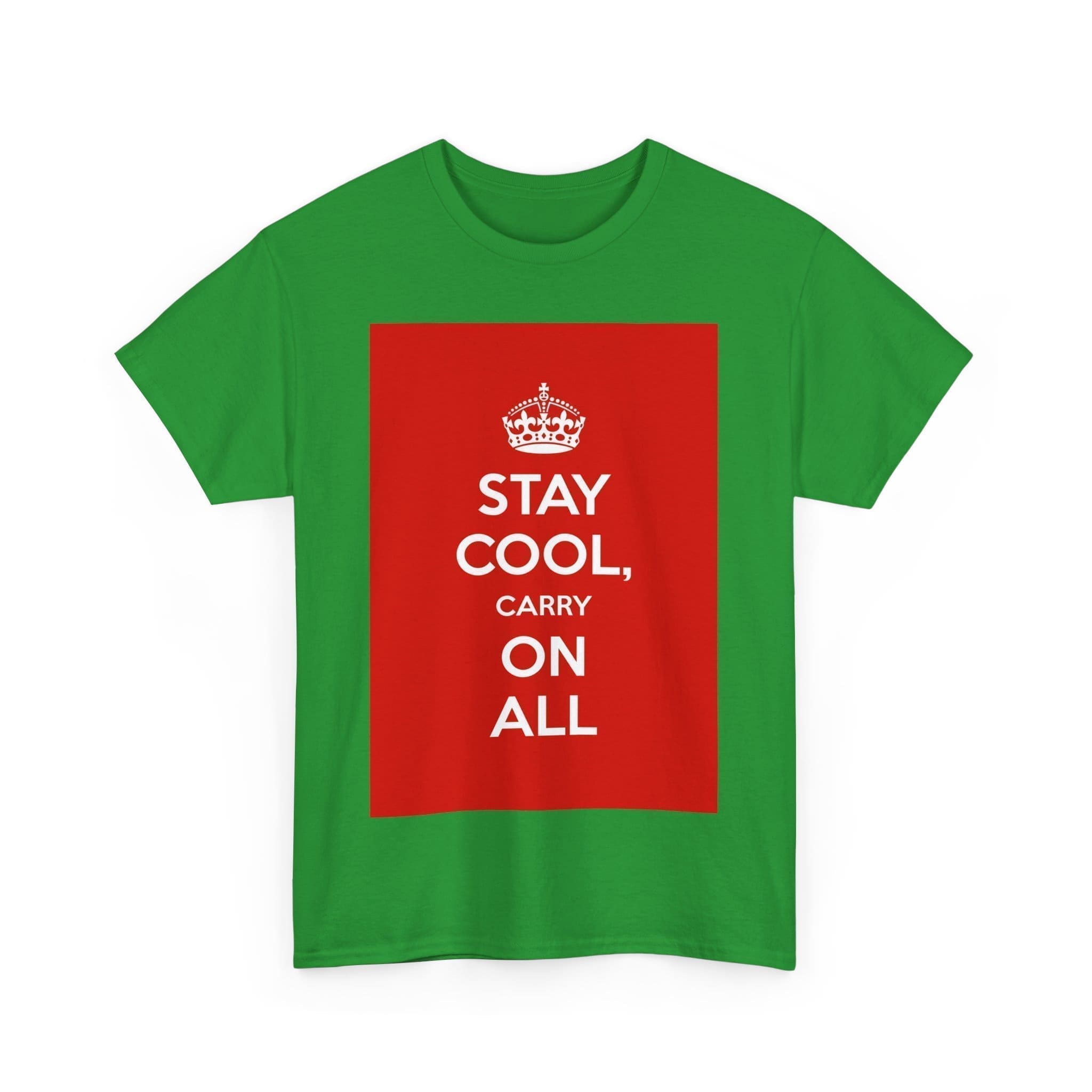 Stay Cool carry on all unisex heavy cotton tee  _47_2048.jpeg