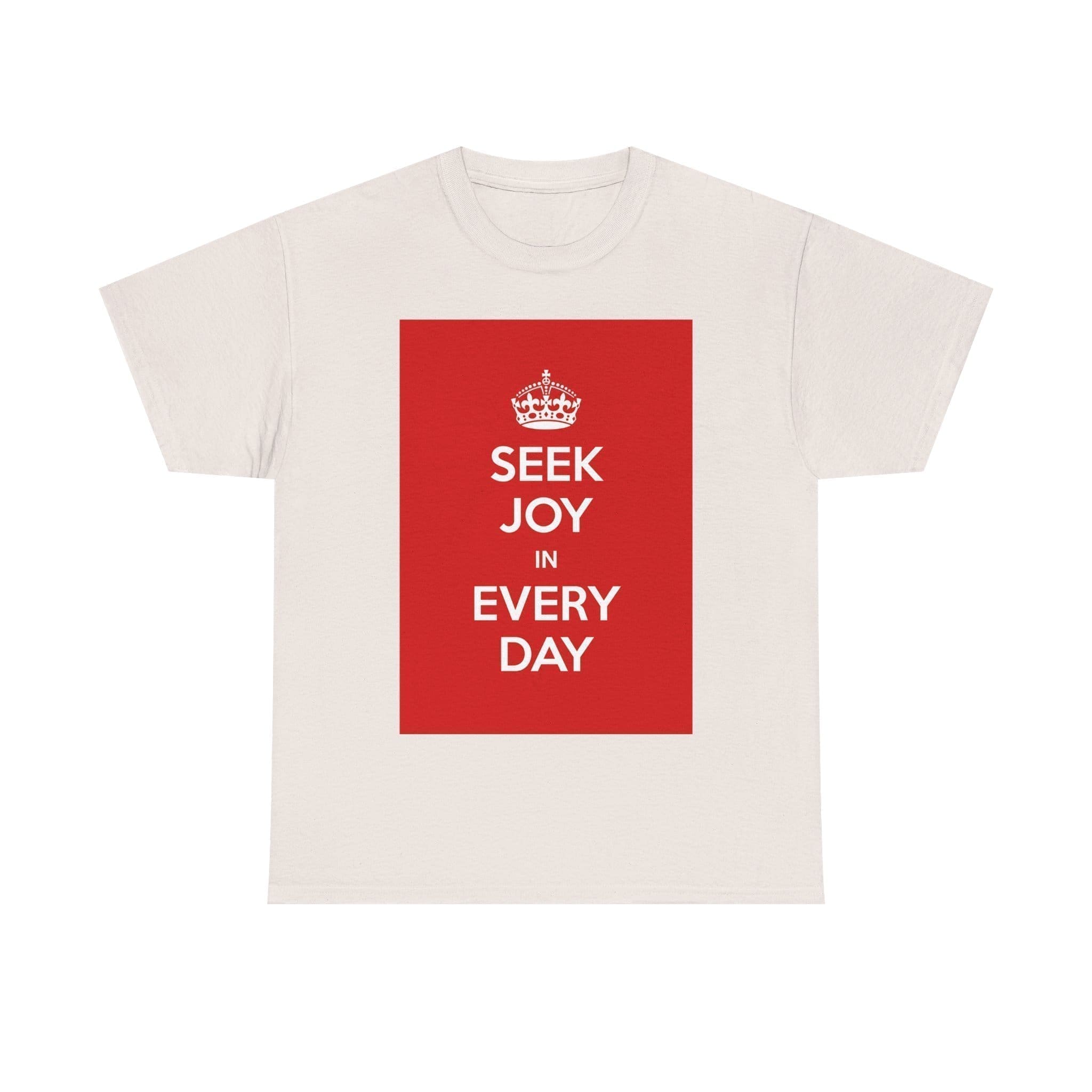 Seek joy in every day unisex heavy cotton tee  _33_2048.jpeg