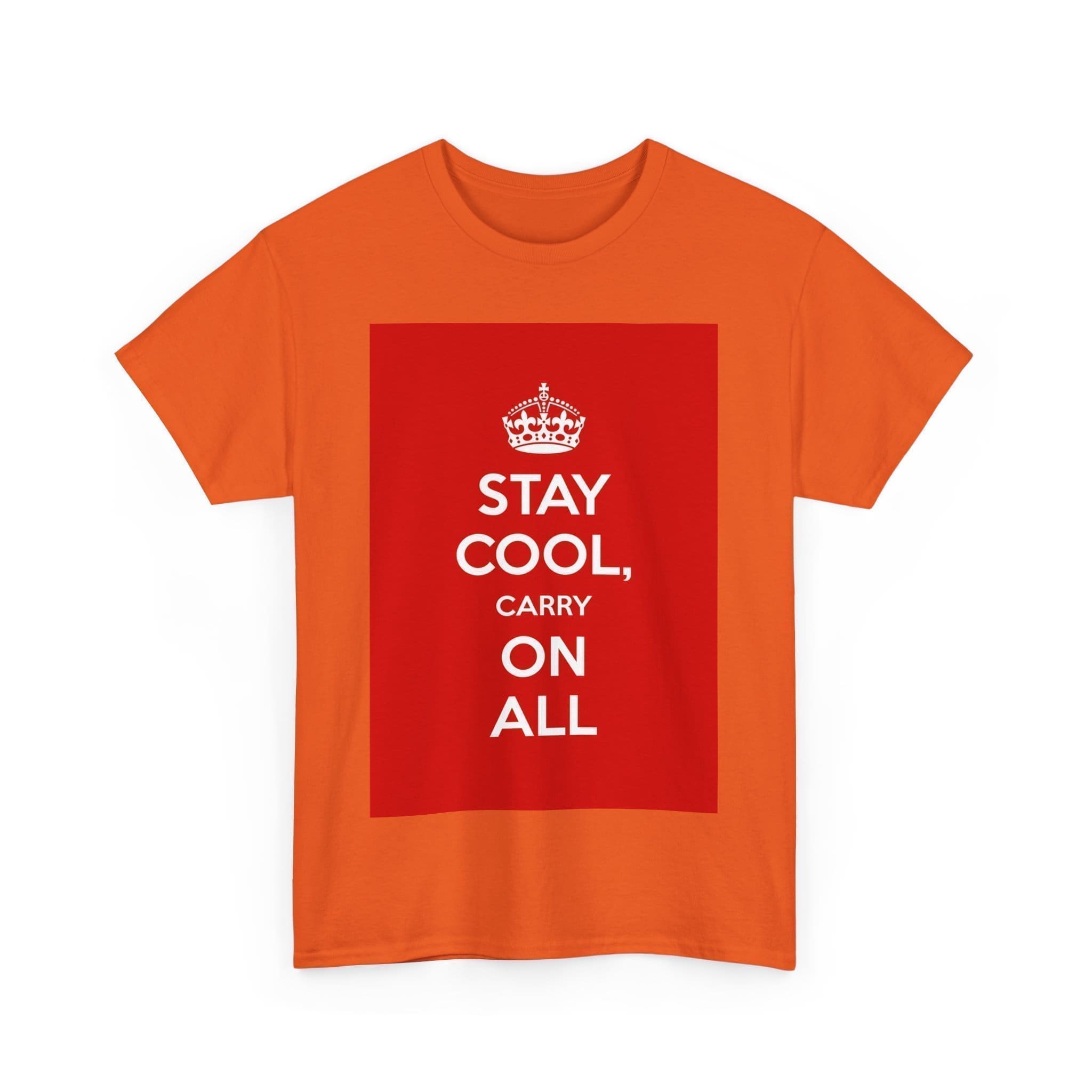 Stay Cool carry on all unisex heavy cotton tee  _43_2048.jpeg