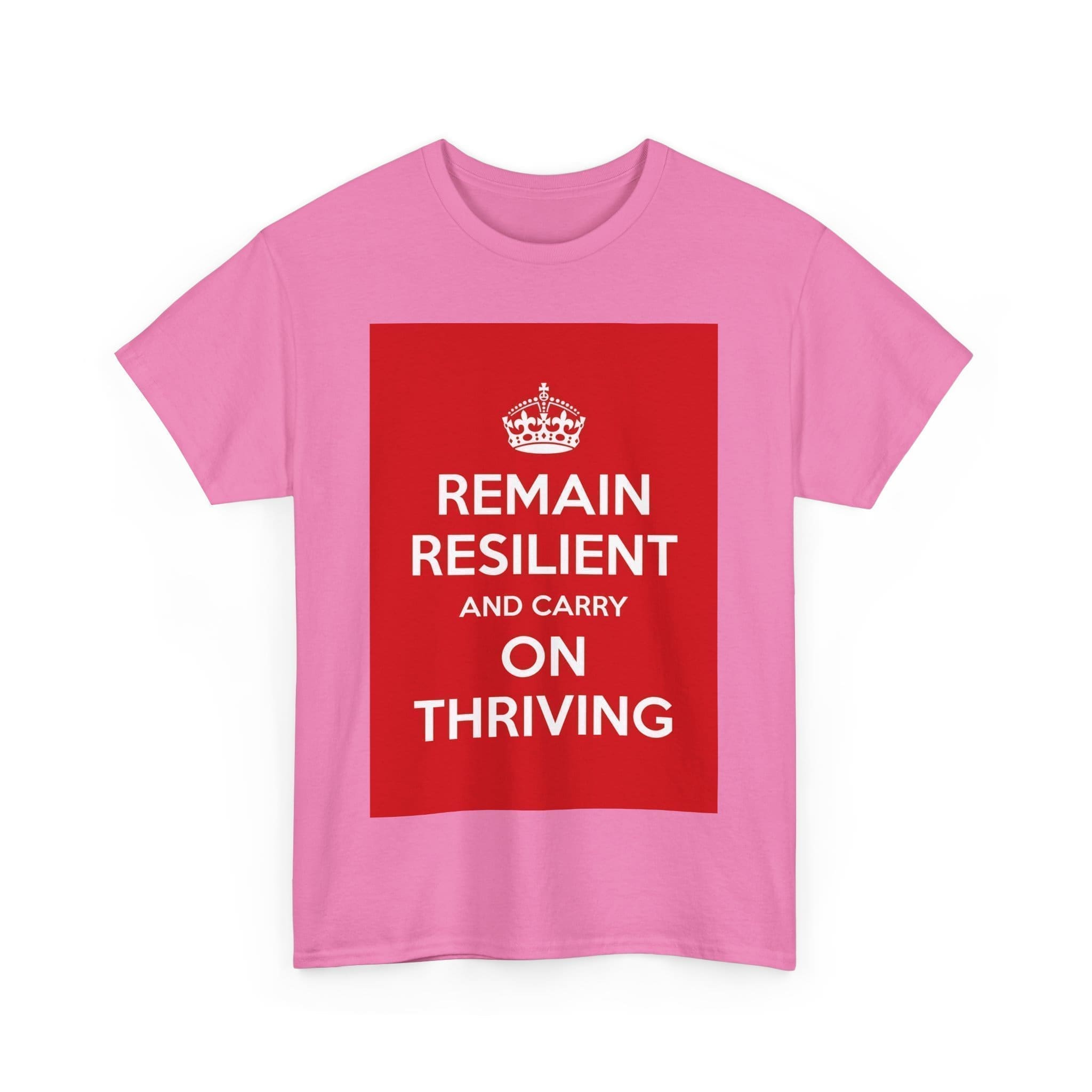 Remain Resilient & carry on thriving unisex heavy cotton tee _51_2048.jpeg Remain Resilient & carry on thriving unisex heavy cotton tee _51_2048.jpeg