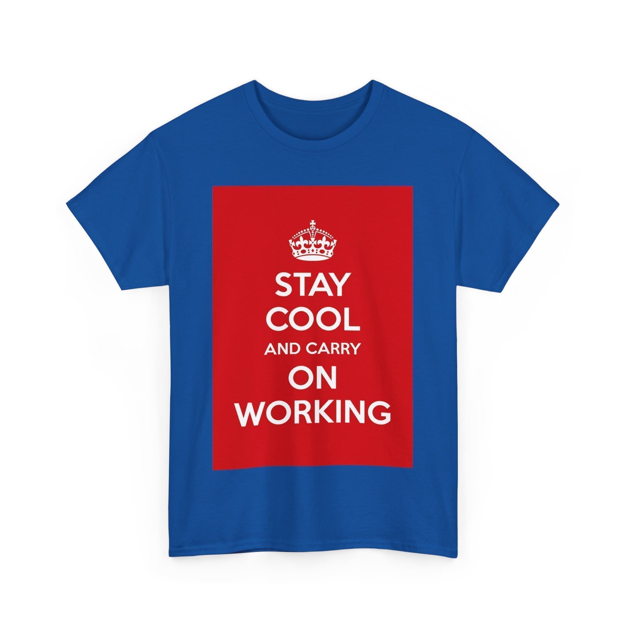 Stay cool & carry on working unisex heavy cotton tee  _43_2048.jpeg