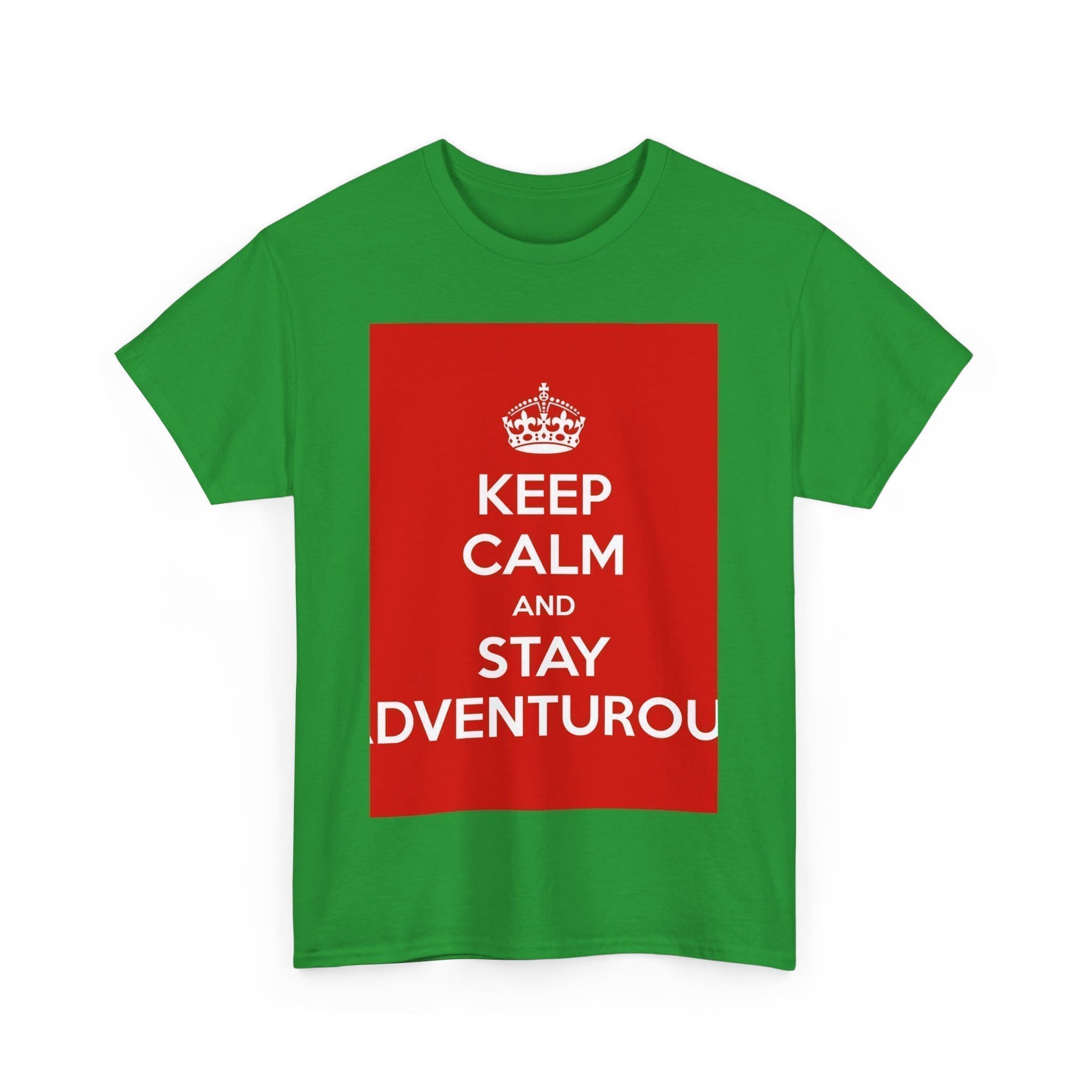 Keep Calm & stay adventurou unisex heavy cotton tee  _47_2048.jpeg