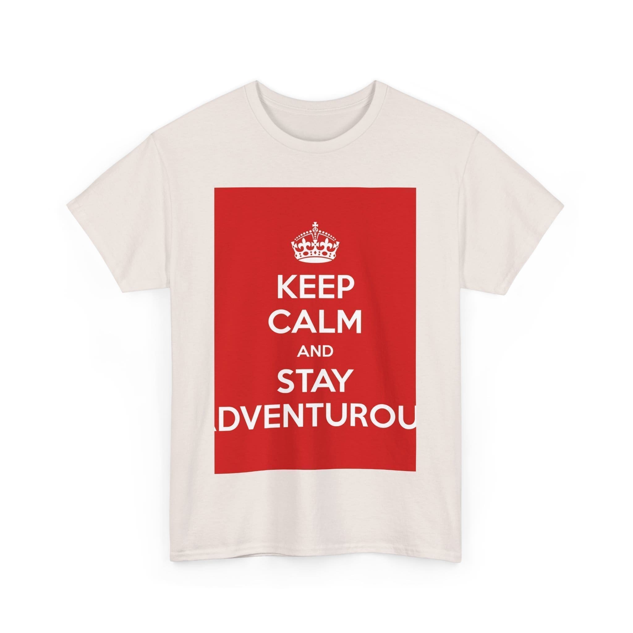 Keep Calm & stay adventurou unisex heavy cotton tee  _35_2048.jpeg