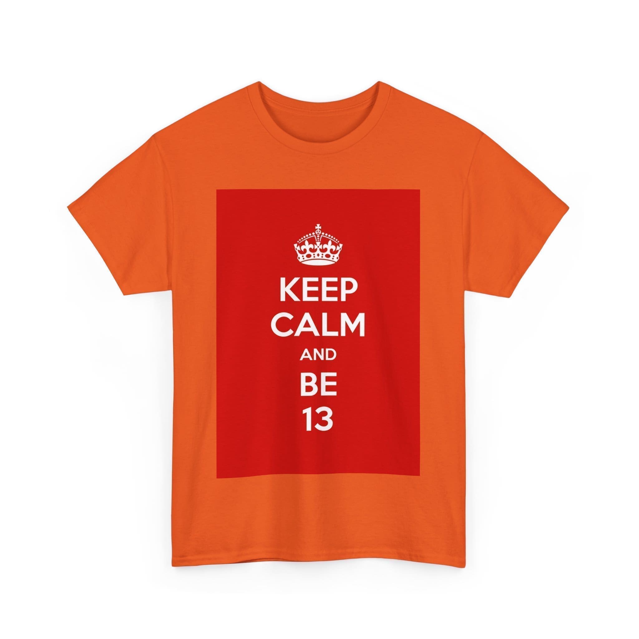 Keep Calm & be 13 unisex heavy cotton tee  _43_2048.jpeg