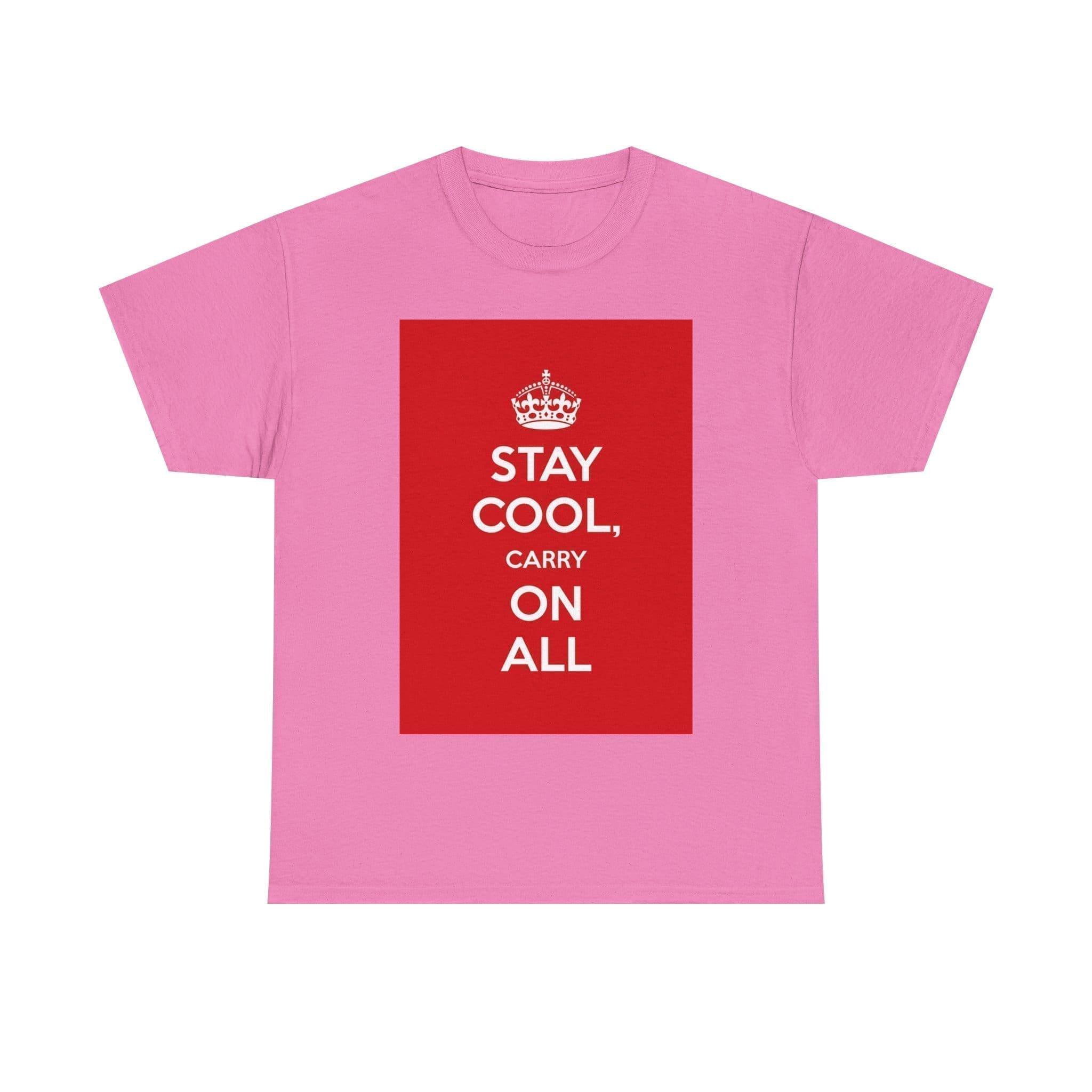 Stay Cool carry on all unisex heavy cotton tee  _57_2048.jpeg