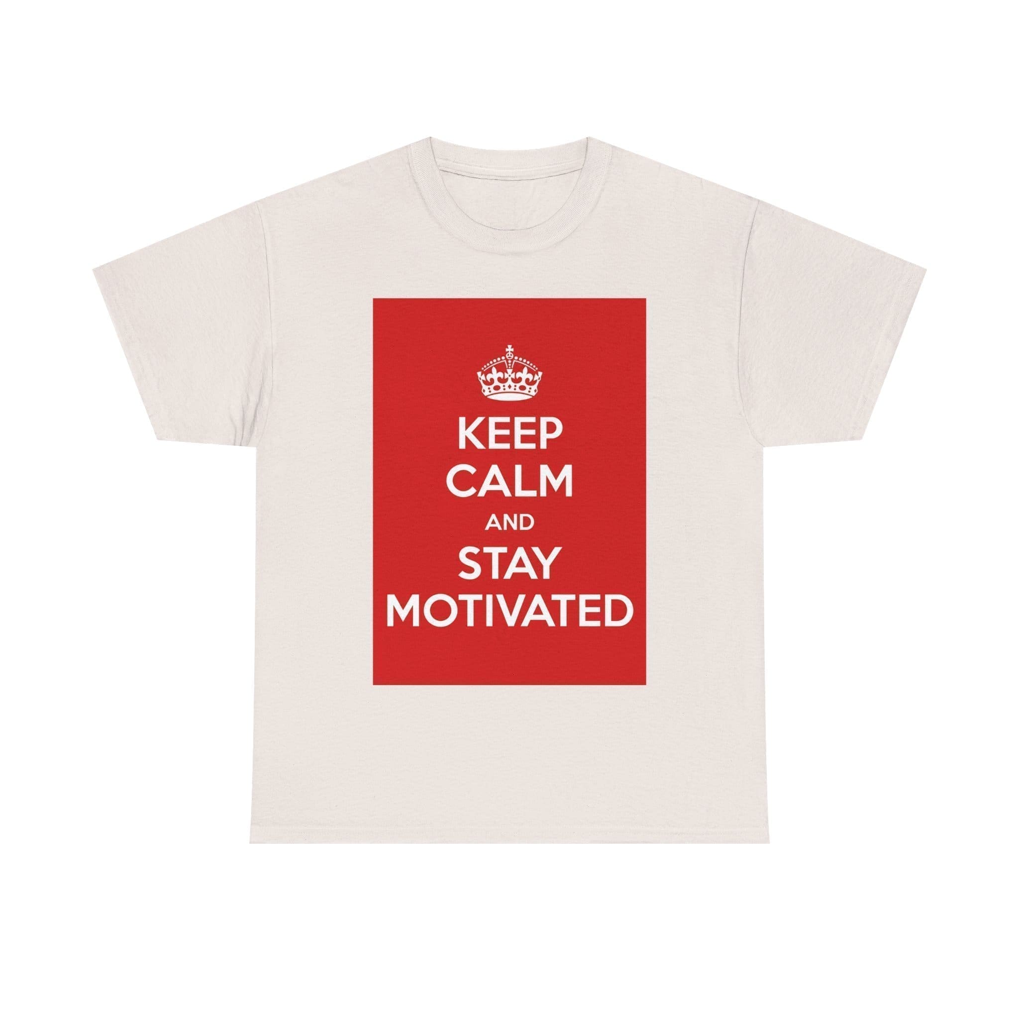 Keep Calm & stay motivated unisex heavy cotton tee  _33_2048.jpeg
