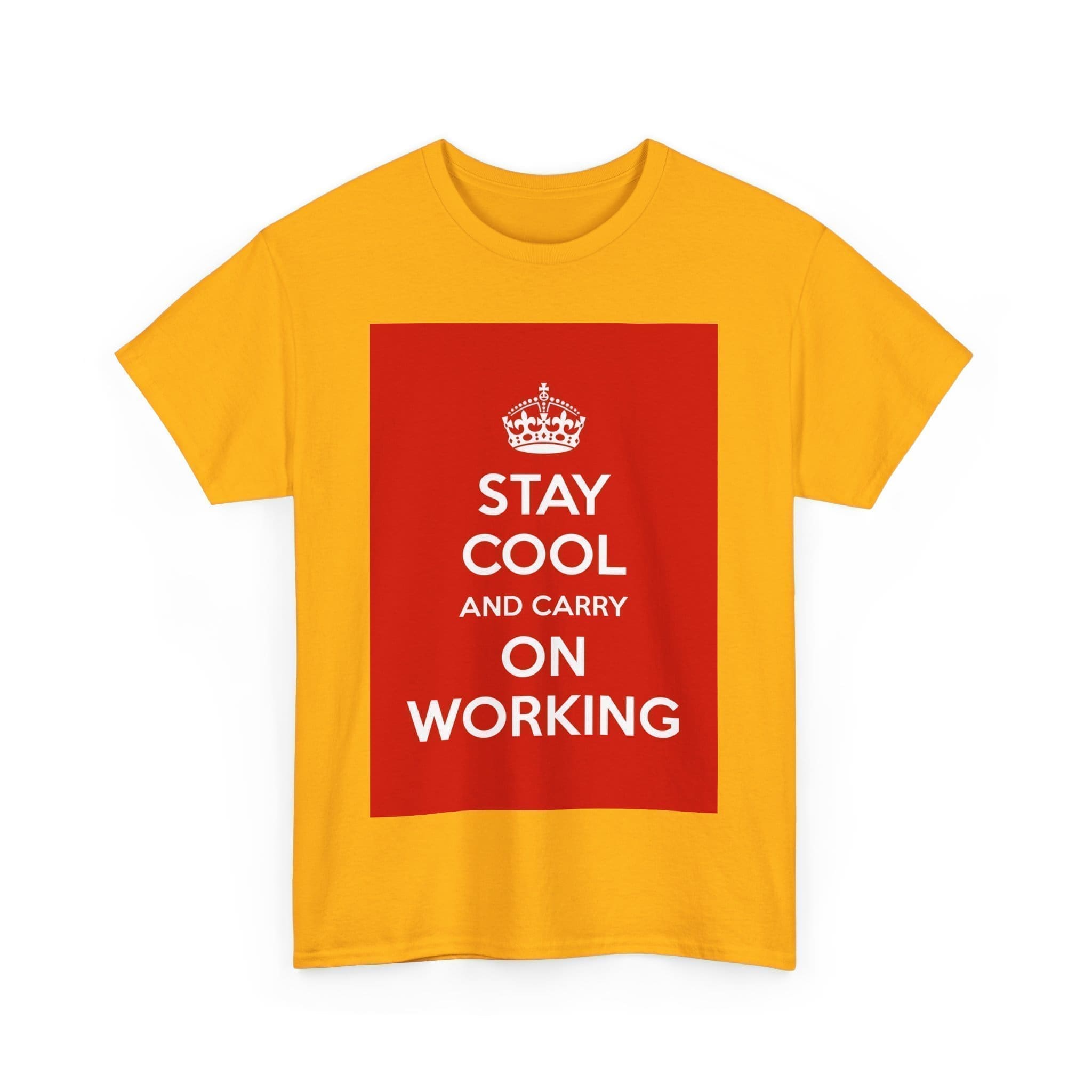 Stay cool & carry on working unisex heavy cotton tee  _31_2048.jpeg