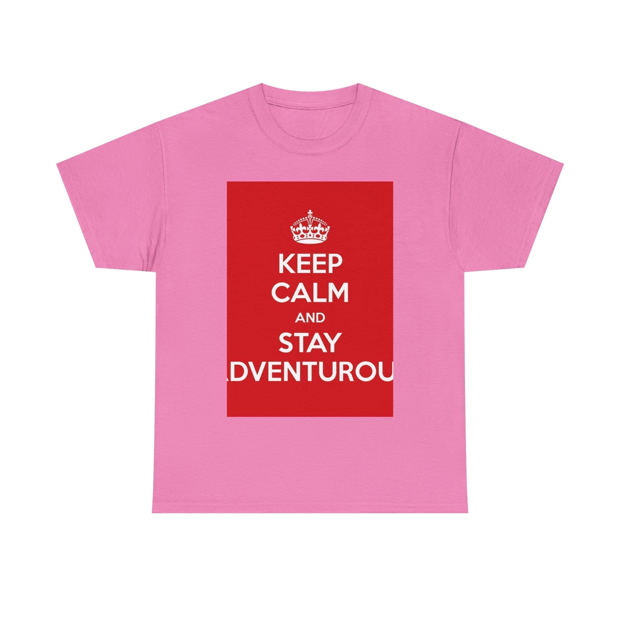 Keep Calm & stay adventurou unisex heavy cotton tee  _57_2048.jpeg