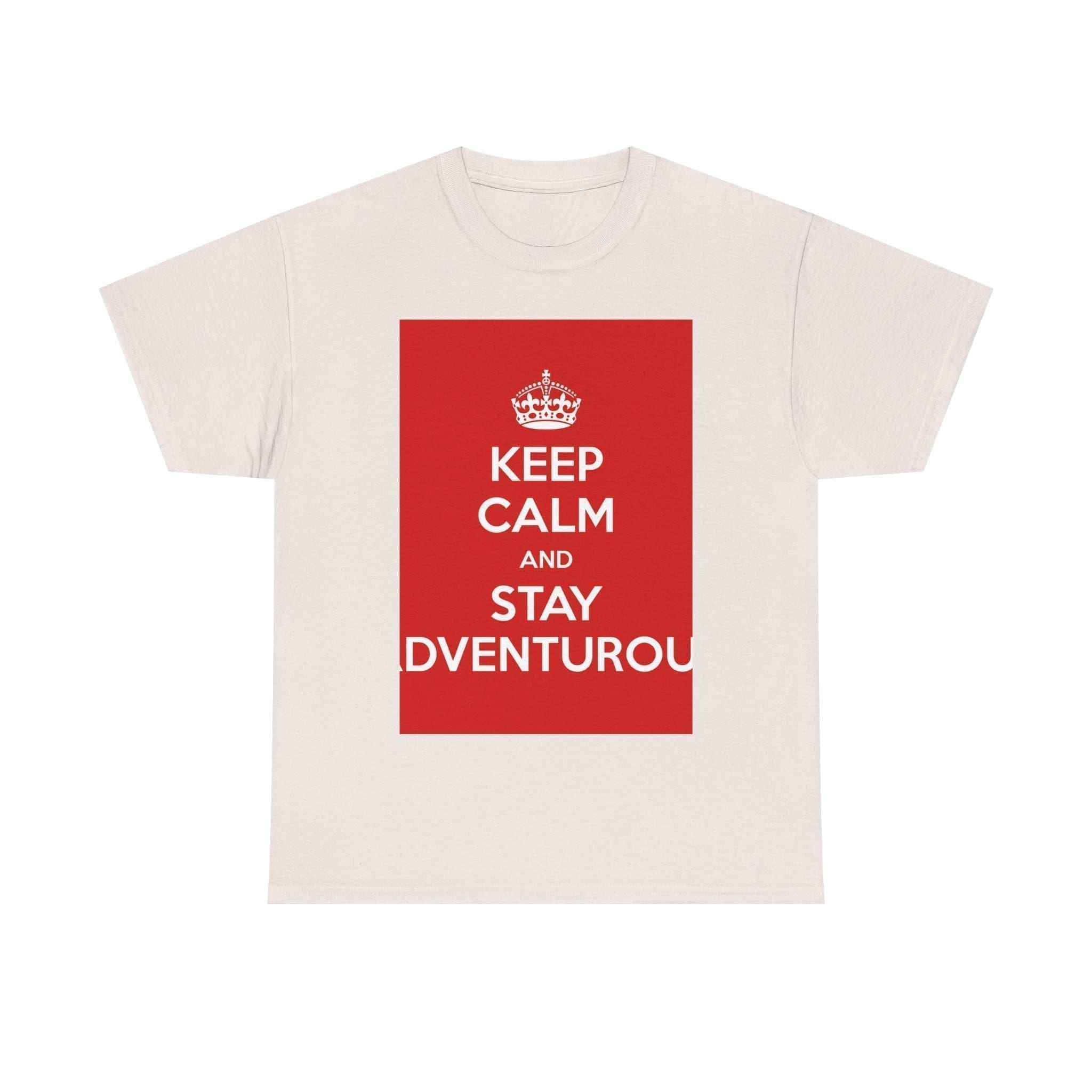 Keep Calm & stay adventurou unisex heavy cotton tee  _33_2048.jpeg