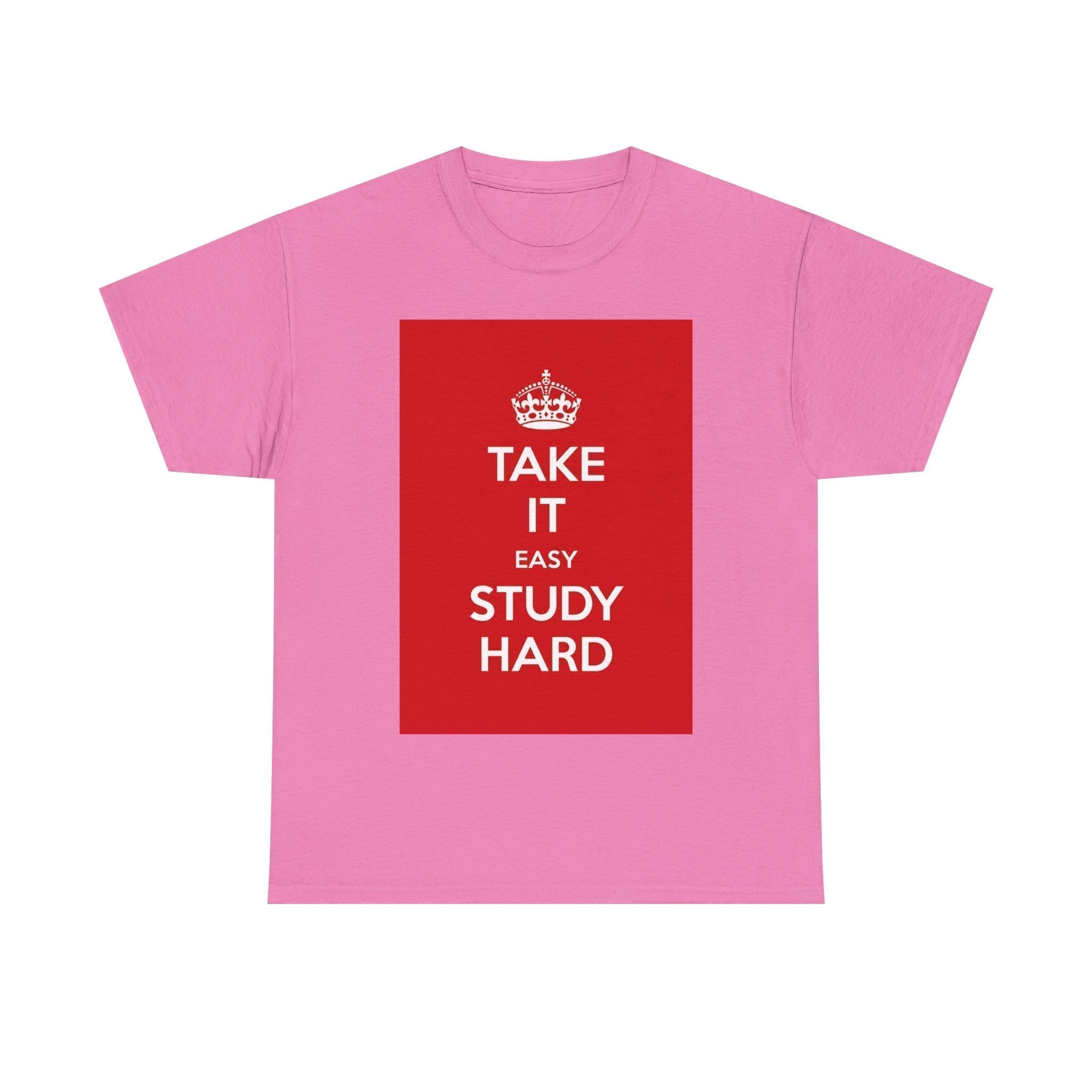 Take it easy study hard unisex heavy cotton tee  _57_2048.jpeg