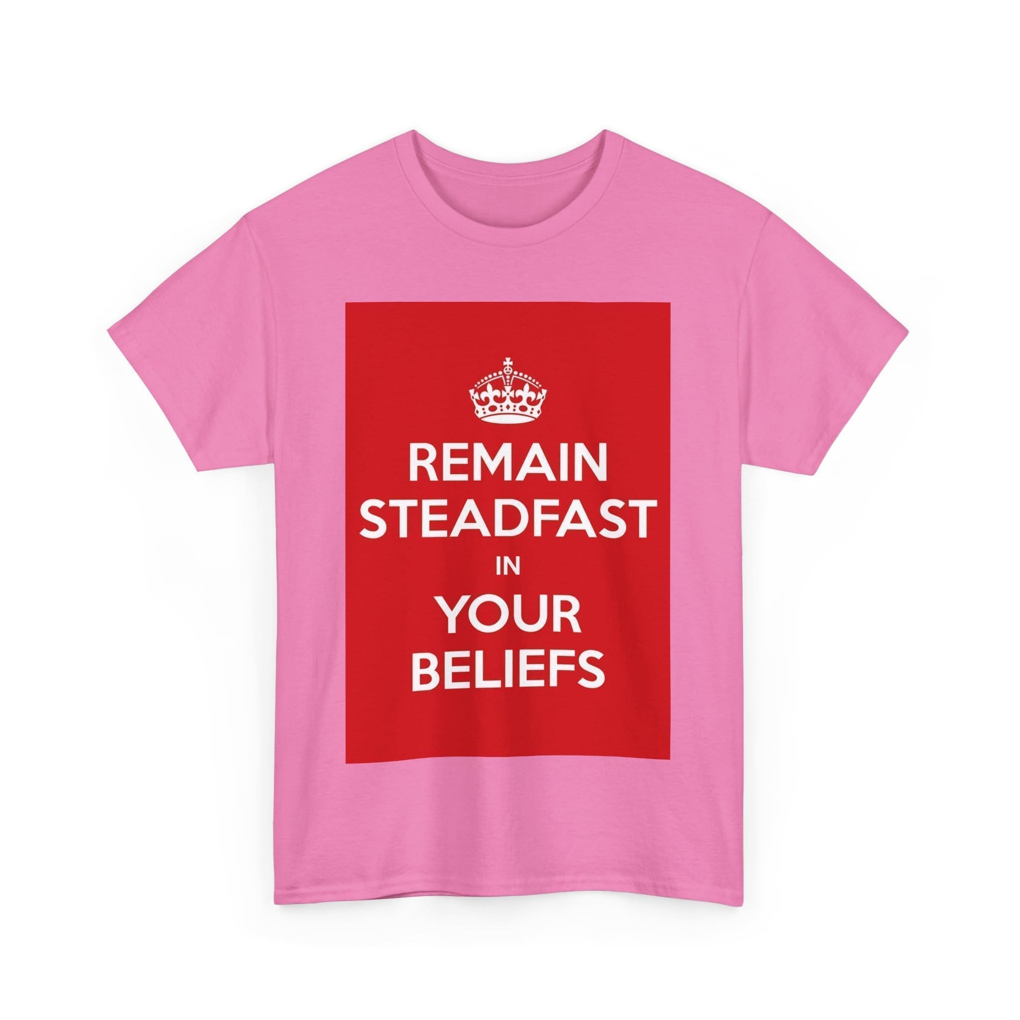 Remain Steadfast in your beliefs unisex heavy cotton tee  _59_2048.jpeg