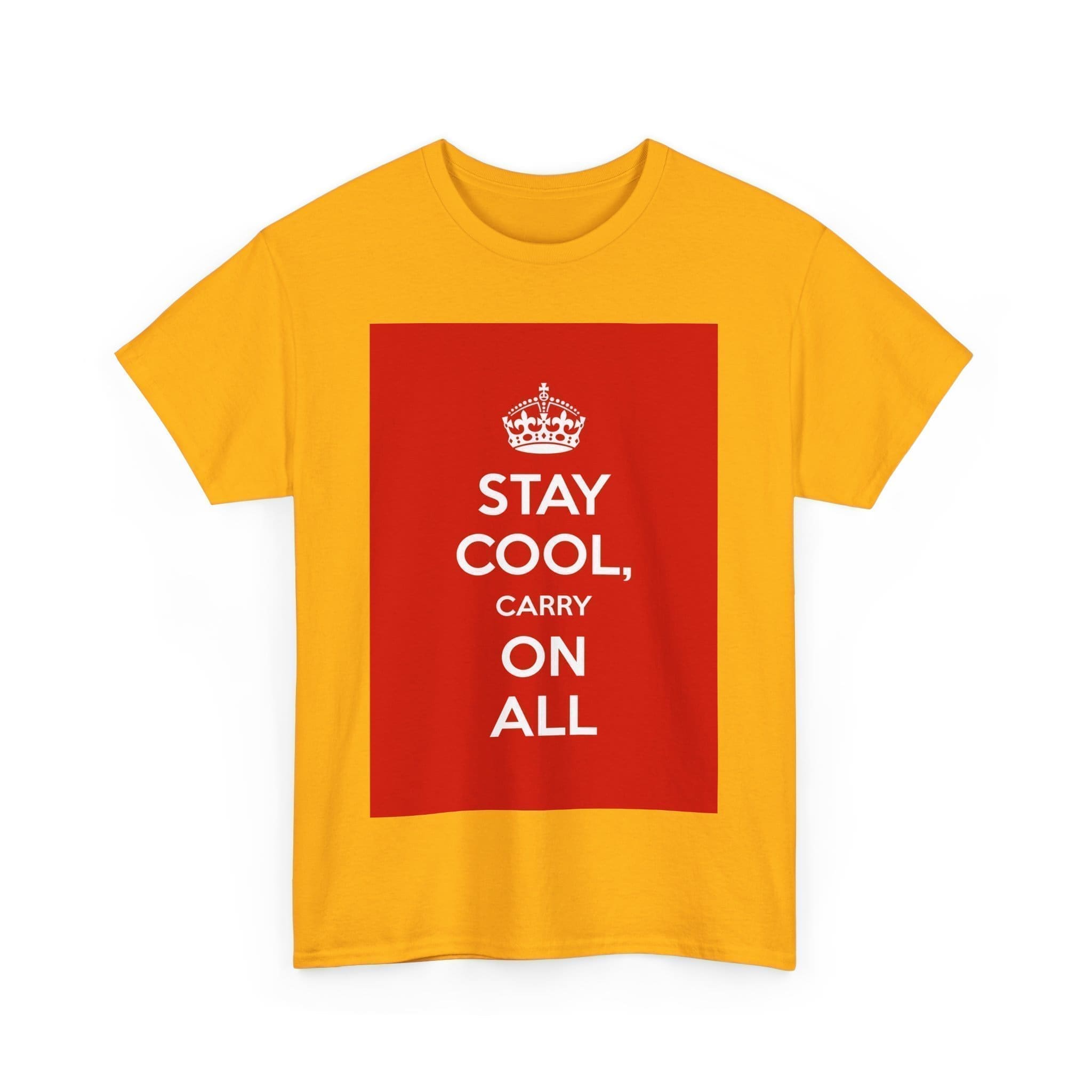 Stay Cool carry on all unisex heavy cotton tee  _39_2048.jpeg