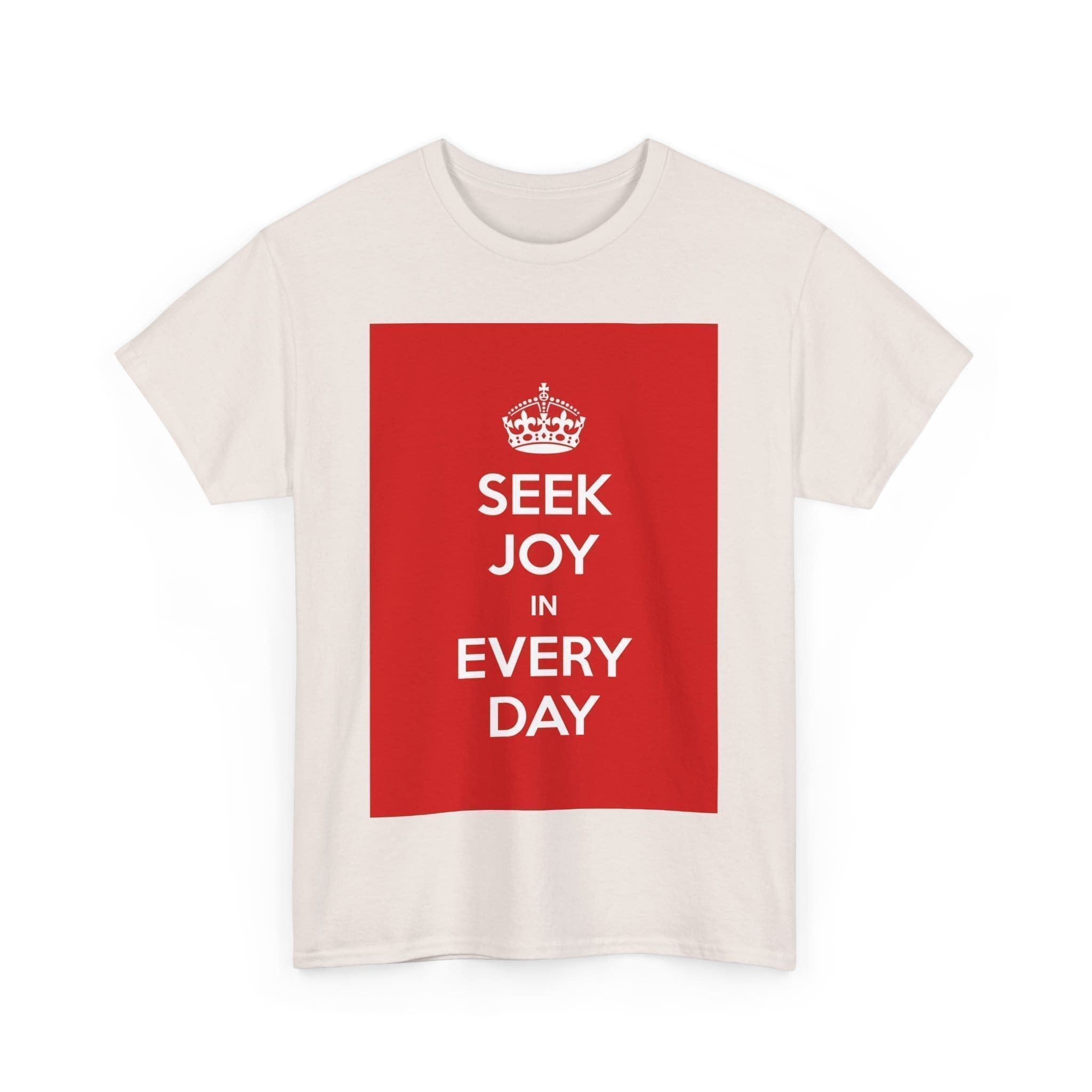 Seek joy in every day unisex heavy cotton tee  _35_2048.jpeg