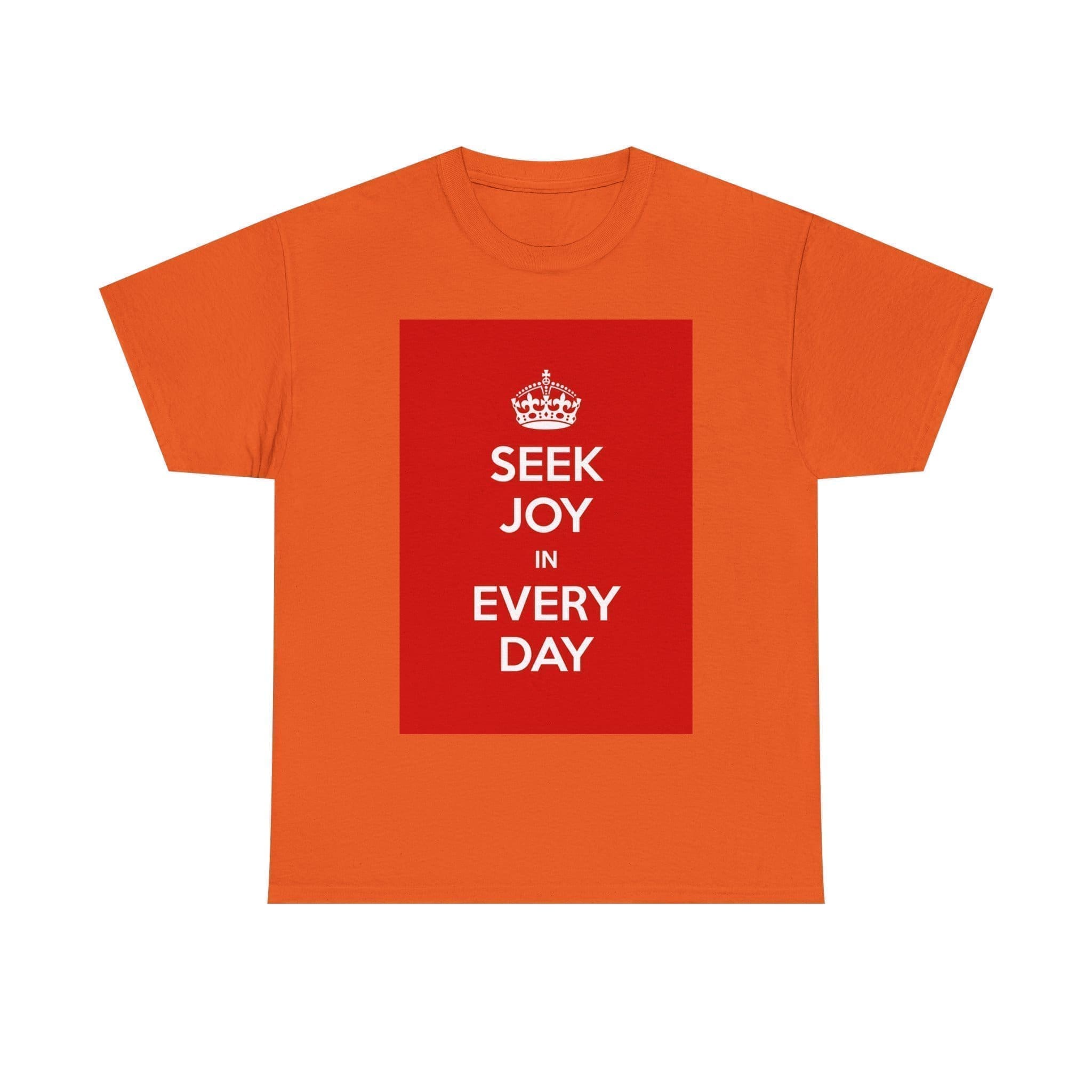 Seek joy in every day unisex heavy cotton tee  _41_2048.jpeg