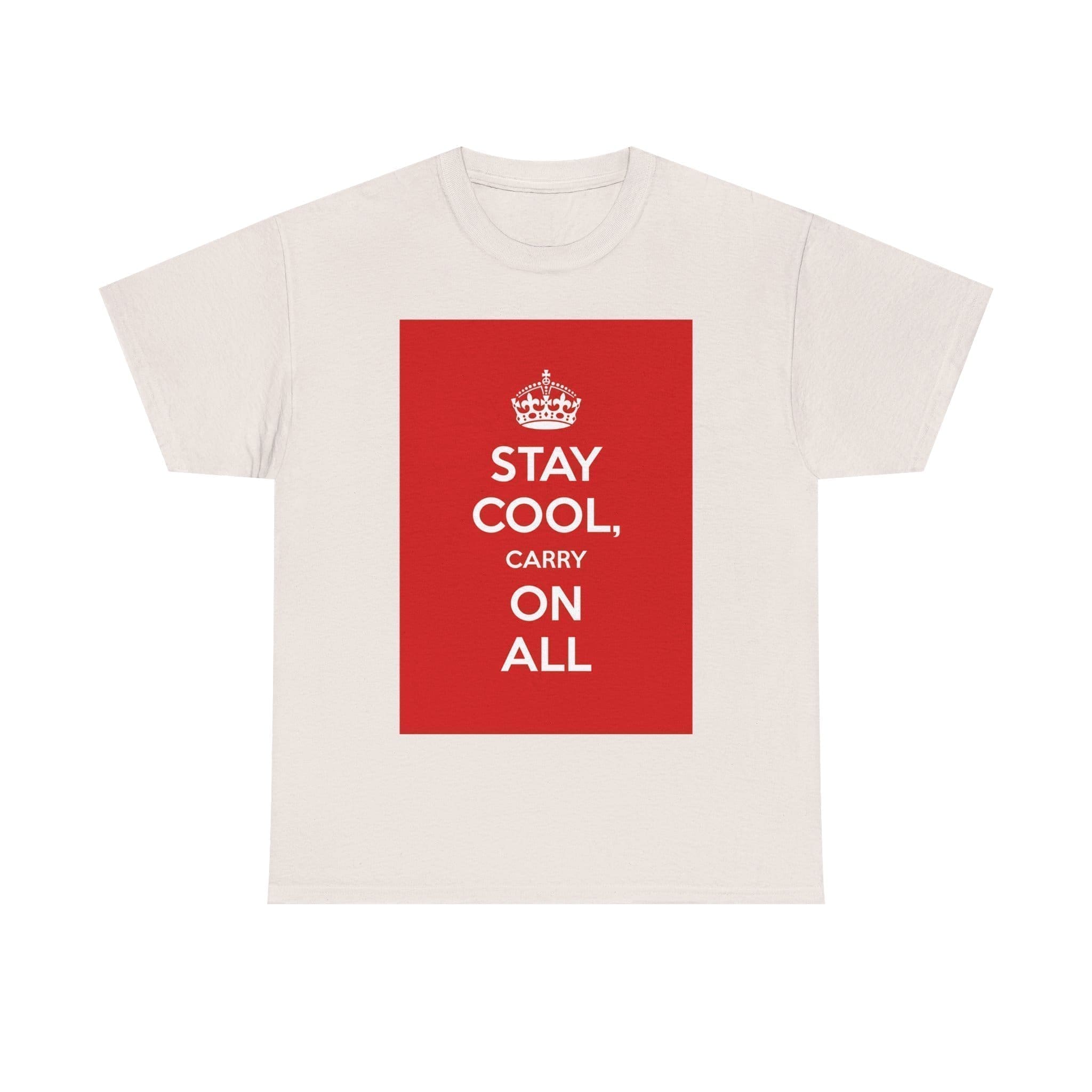 Stay Cool carry on all unisex heavy cotton tee  _33_2048.jpeg