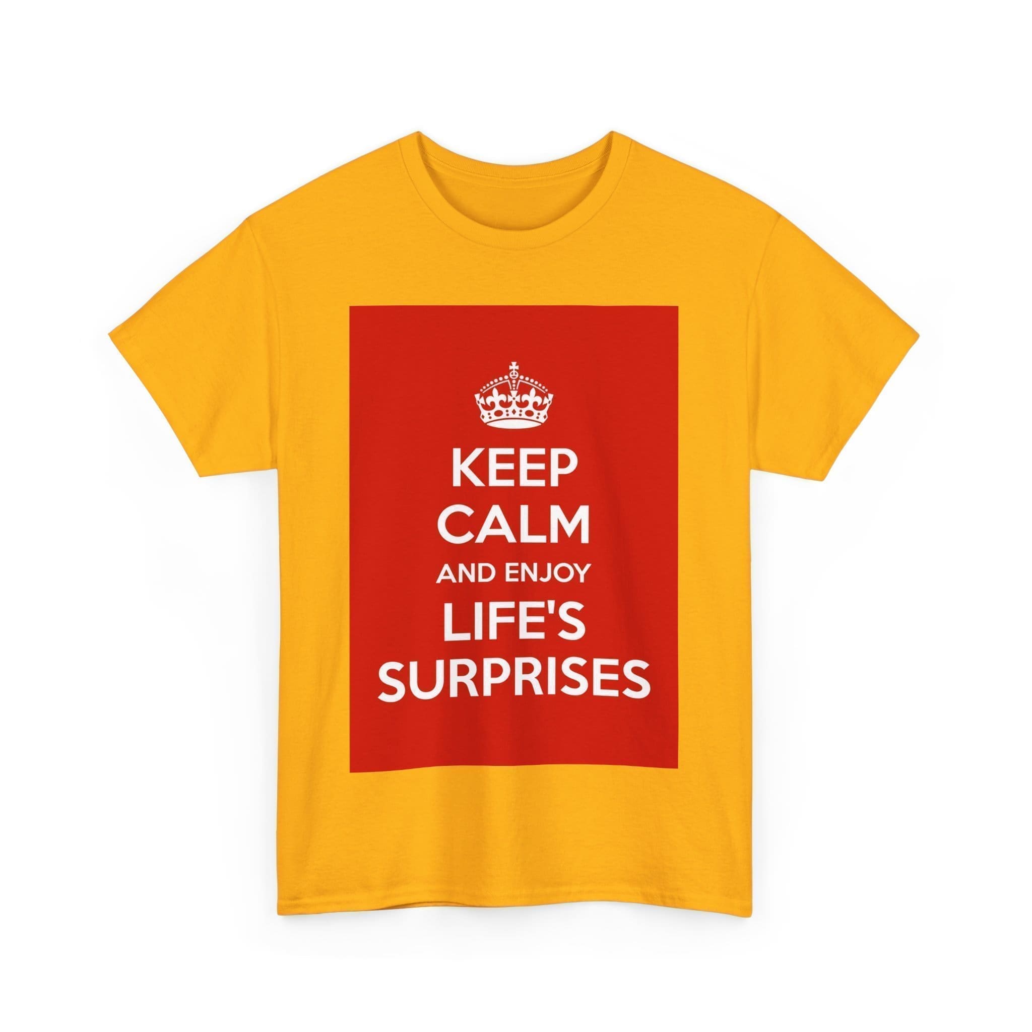 Keep Calm & enjoy life's surprises unisex heavy cotton tee  _11_2048.jpeg