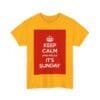 Keep Calm & relax it's sunday unisex heavy cotton tee  _31_2048.jpeg