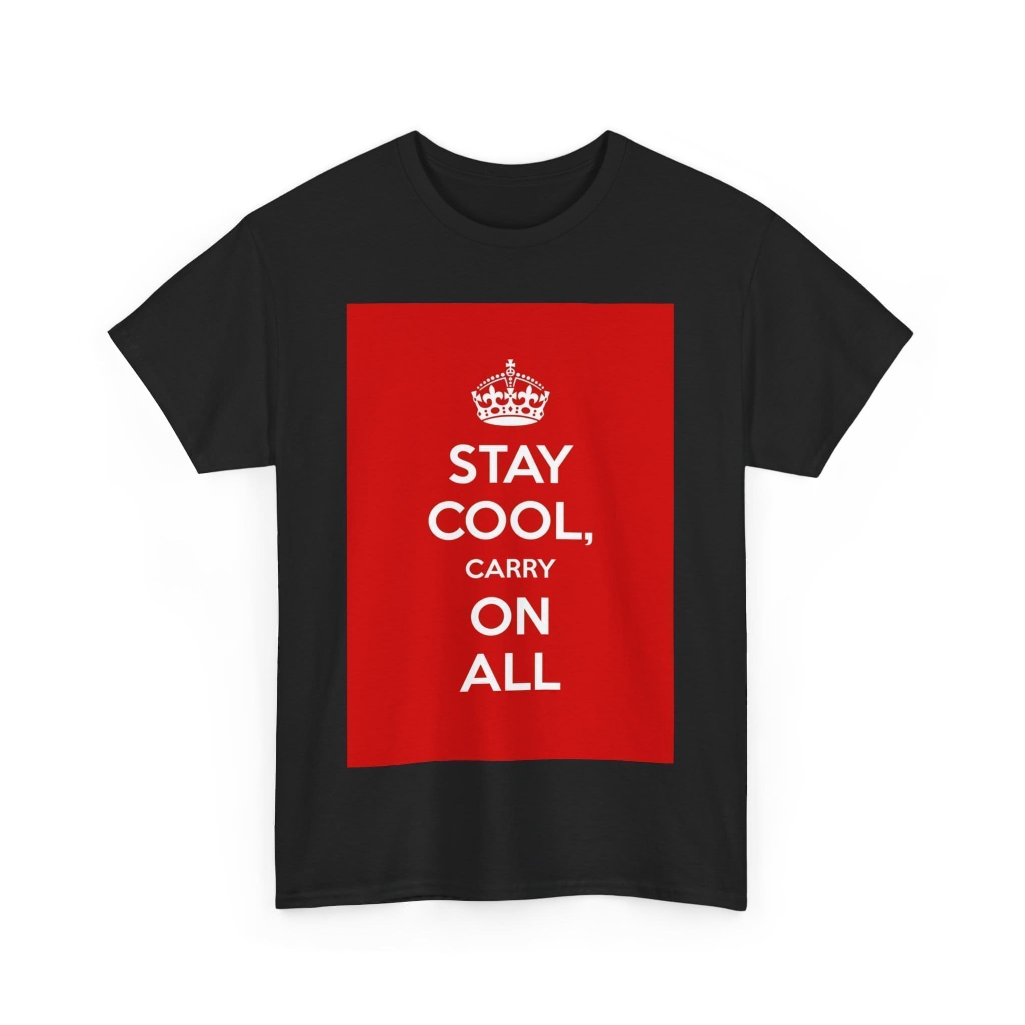Stay Cool carry on all unisex heavy cotton tee  _31_2048.jpeg