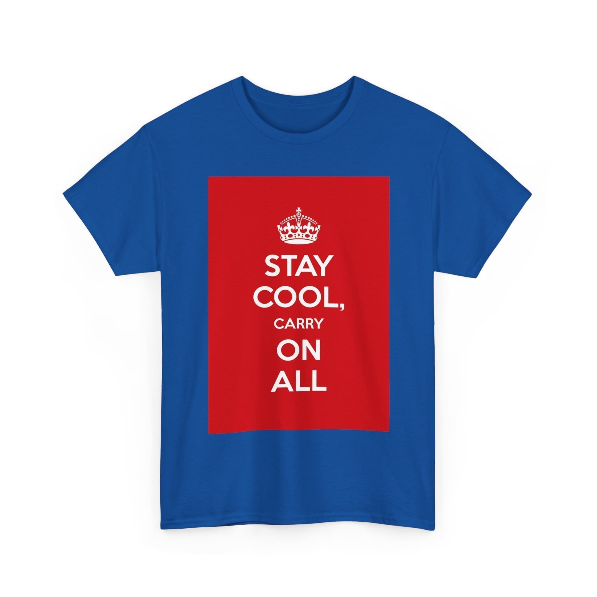 Stay Cool carry on all unisex heavy cotton tee  _19_2048.jpeg