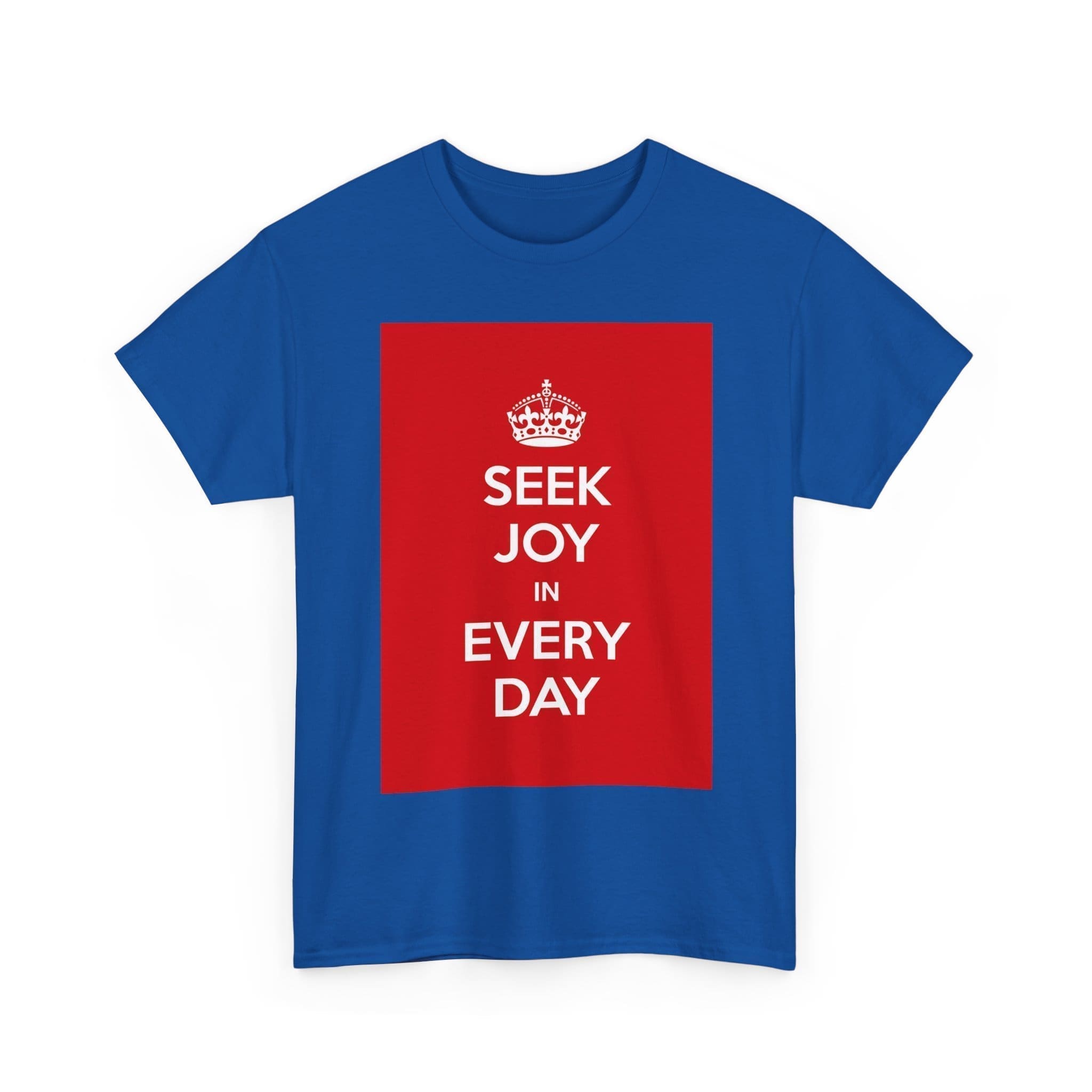 Seek joy in every day unisex heavy cotton tee  _19_2048.jpeg