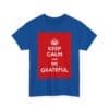 Keep Calm & be grateful unisex heavy cotton tee  _19_2048.jpeg