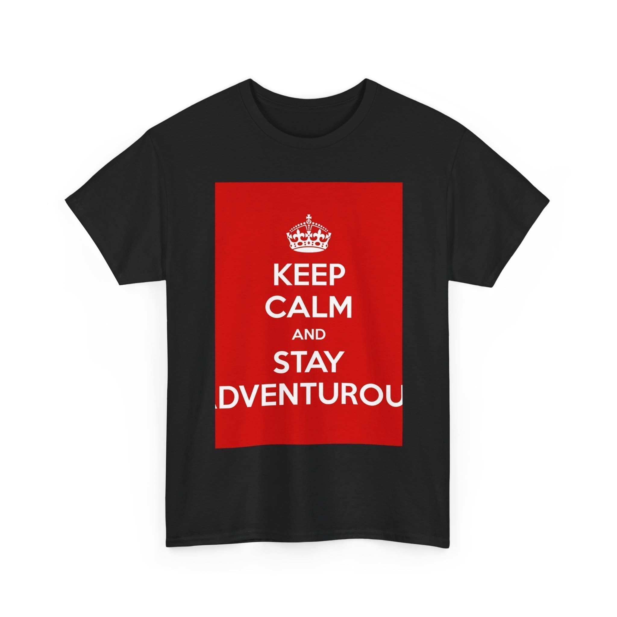 Keep Calm & stay adventurou unisex heavy cotton tee  _7_2048.jpeg