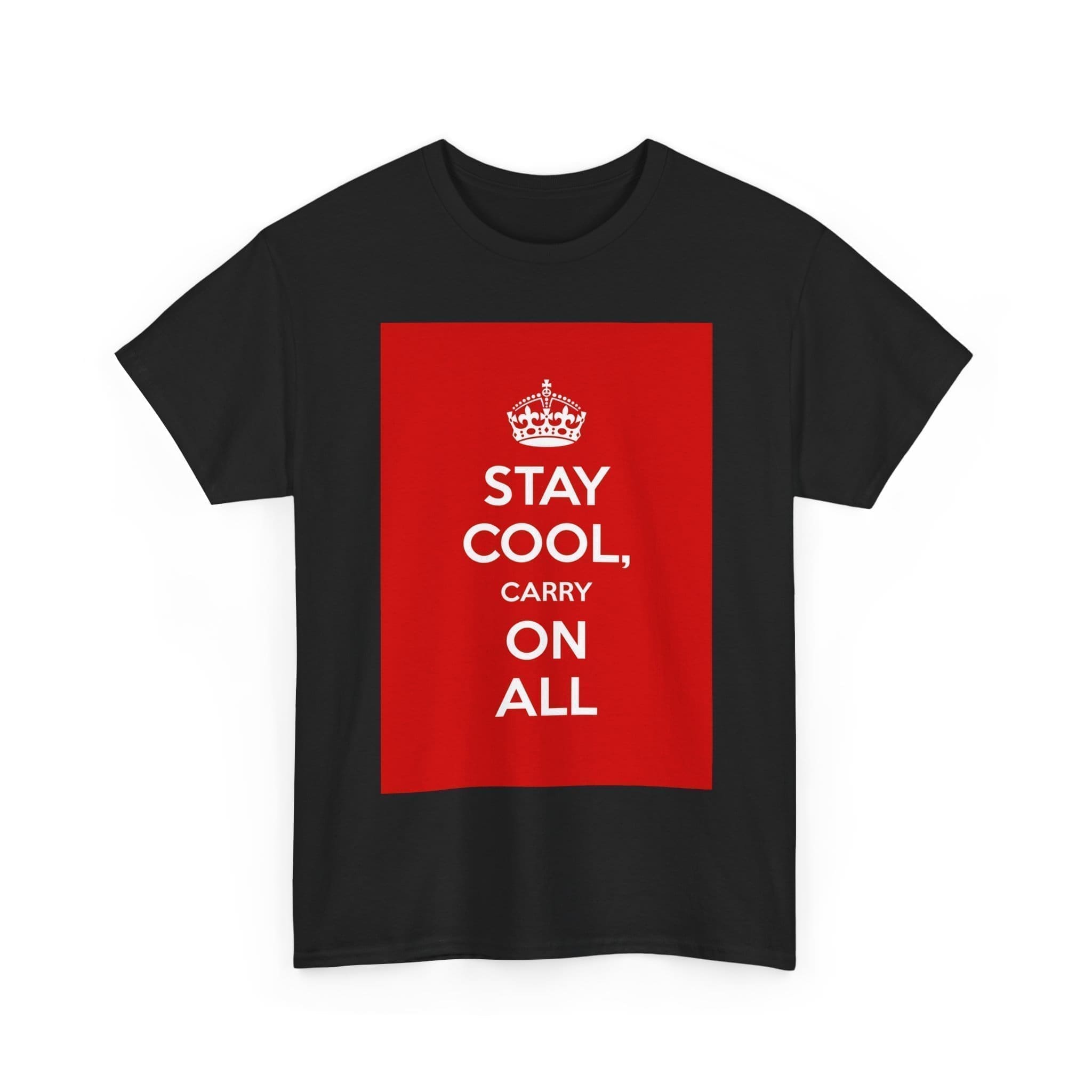 Stay Cool carry on all unisex heavy cotton tee  _7_2048.jpeg