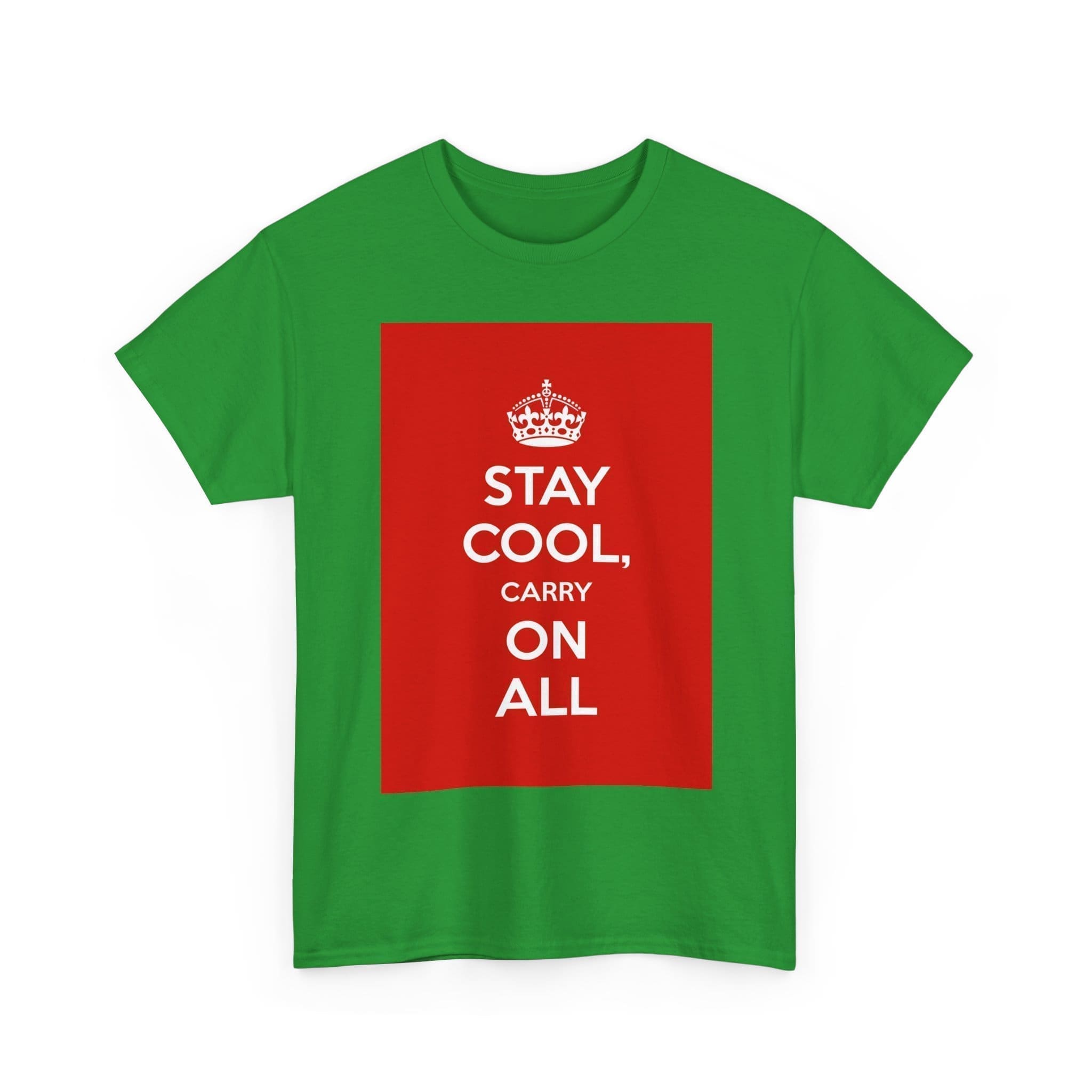 Stay Cool carry on all unisex heavy cotton tee  _15_2048.jpeg