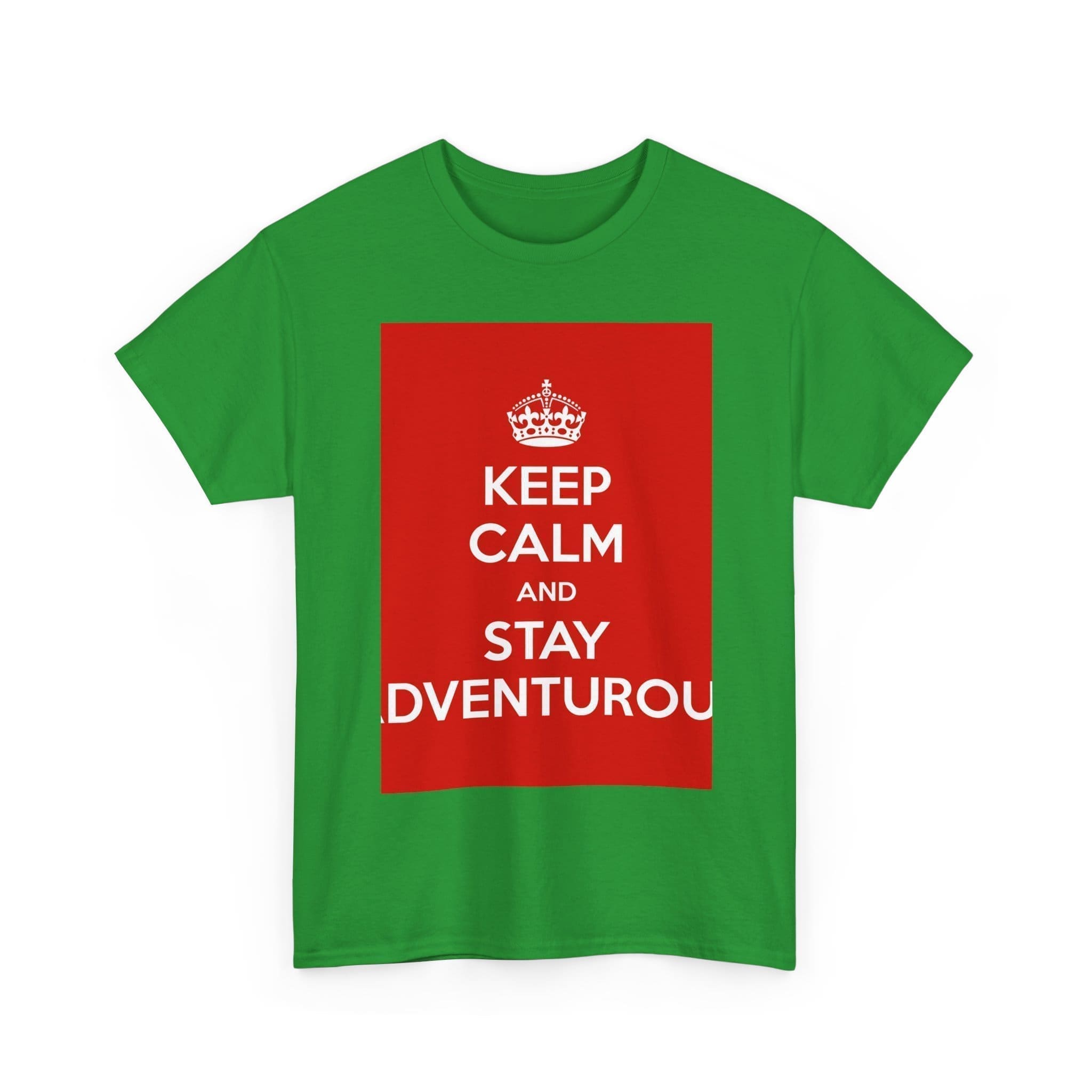 Keep Calm & stay adventurou unisex heavy cotton tee  _15_2048.jpeg