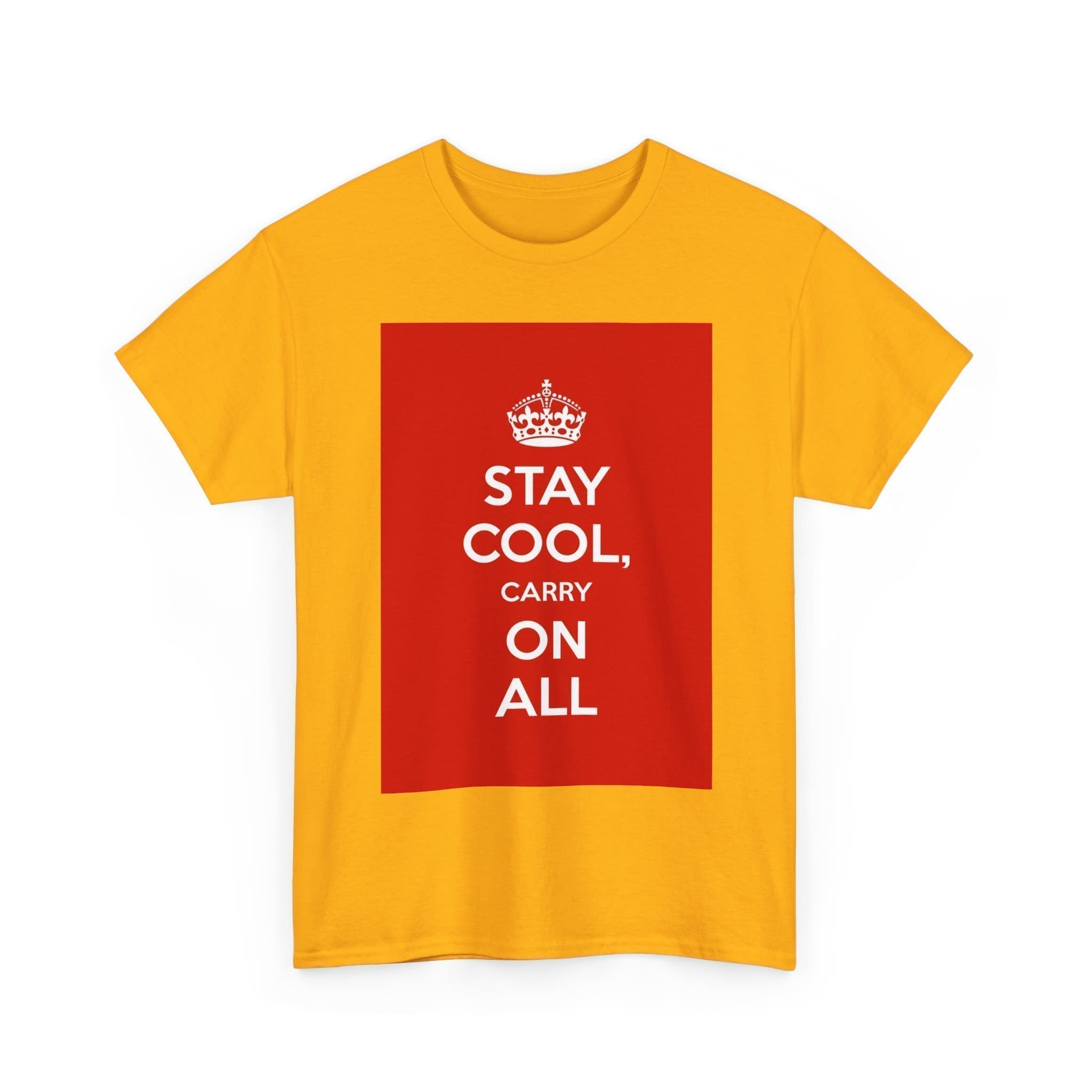 Stay Cool carry on all unisex heavy cotton tee  _11_2048.jpeg