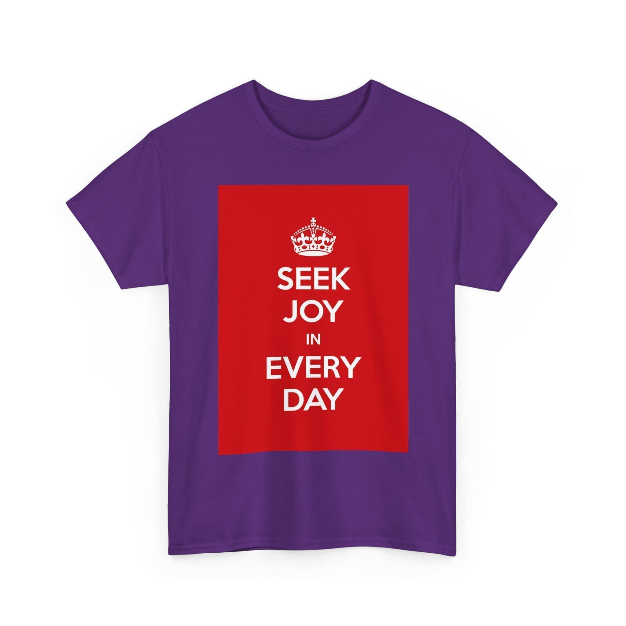 Seek joy in every day unisex heavy cotton tee  _23_2048.jpeg