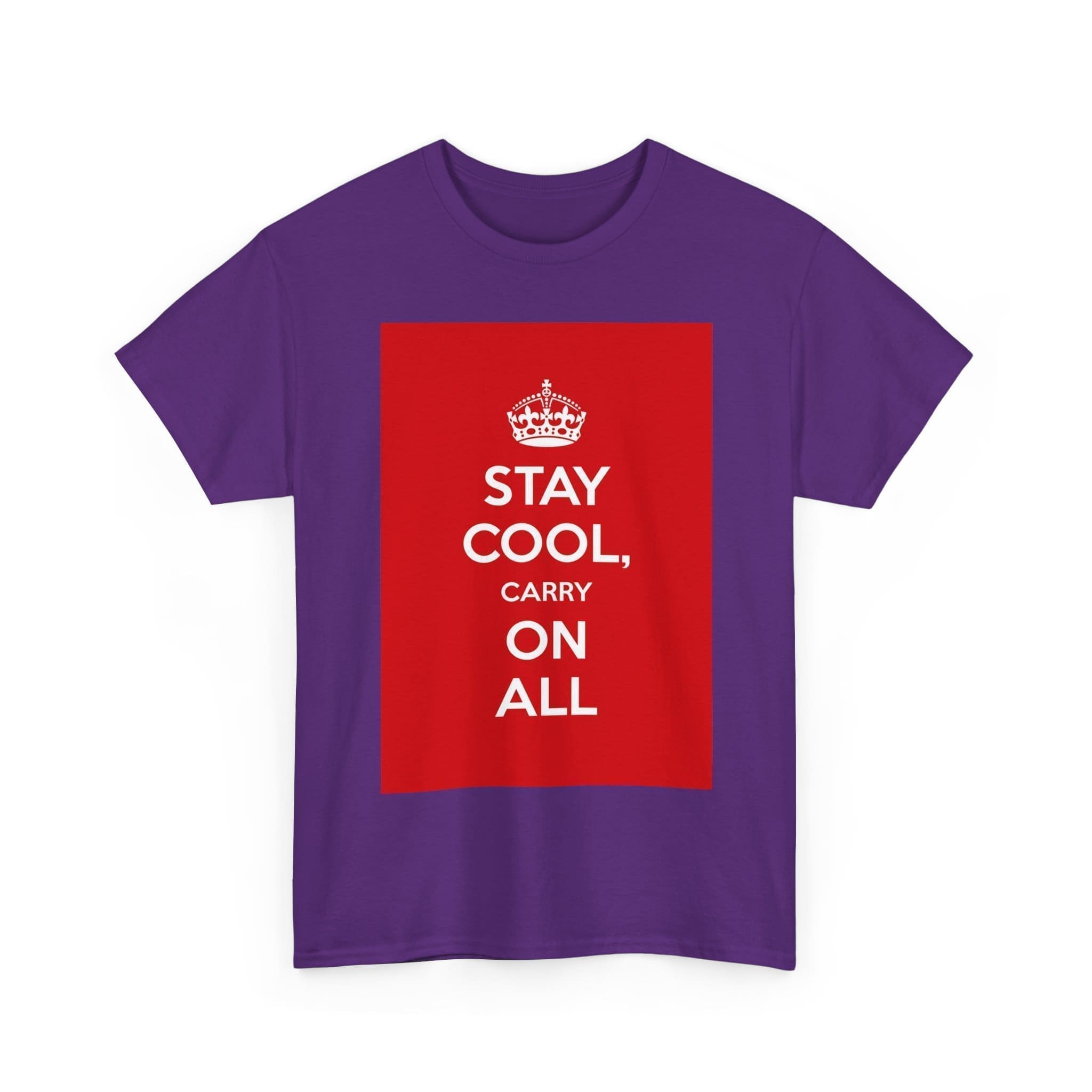 Stay Cool carry on all unisex heavy cotton tee  _23_2048.jpeg