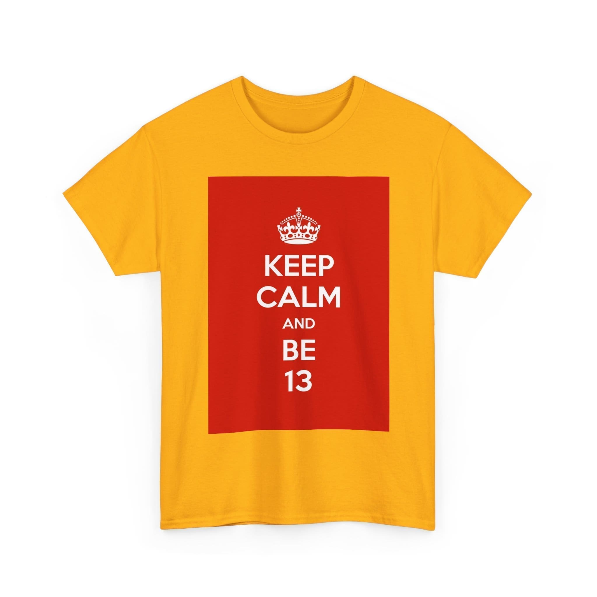Keep Calm & be 13 unisex heavy cotton tee  _11_2048.jpeg