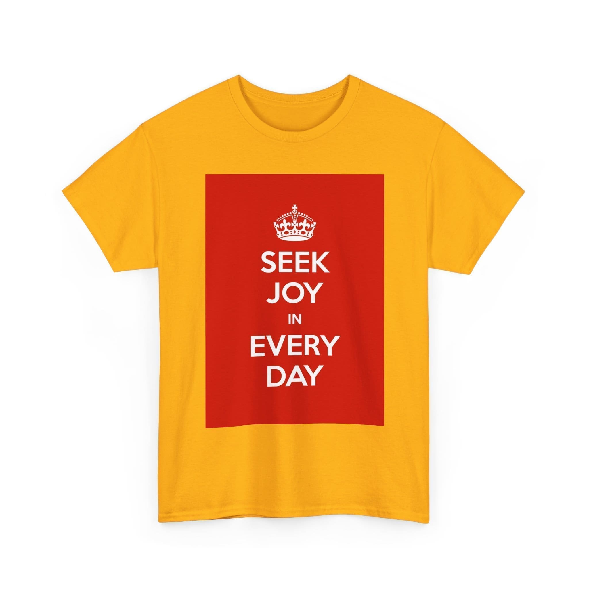 Seek joy in every day unisex heavy cotton tee  _11_2048.jpeg