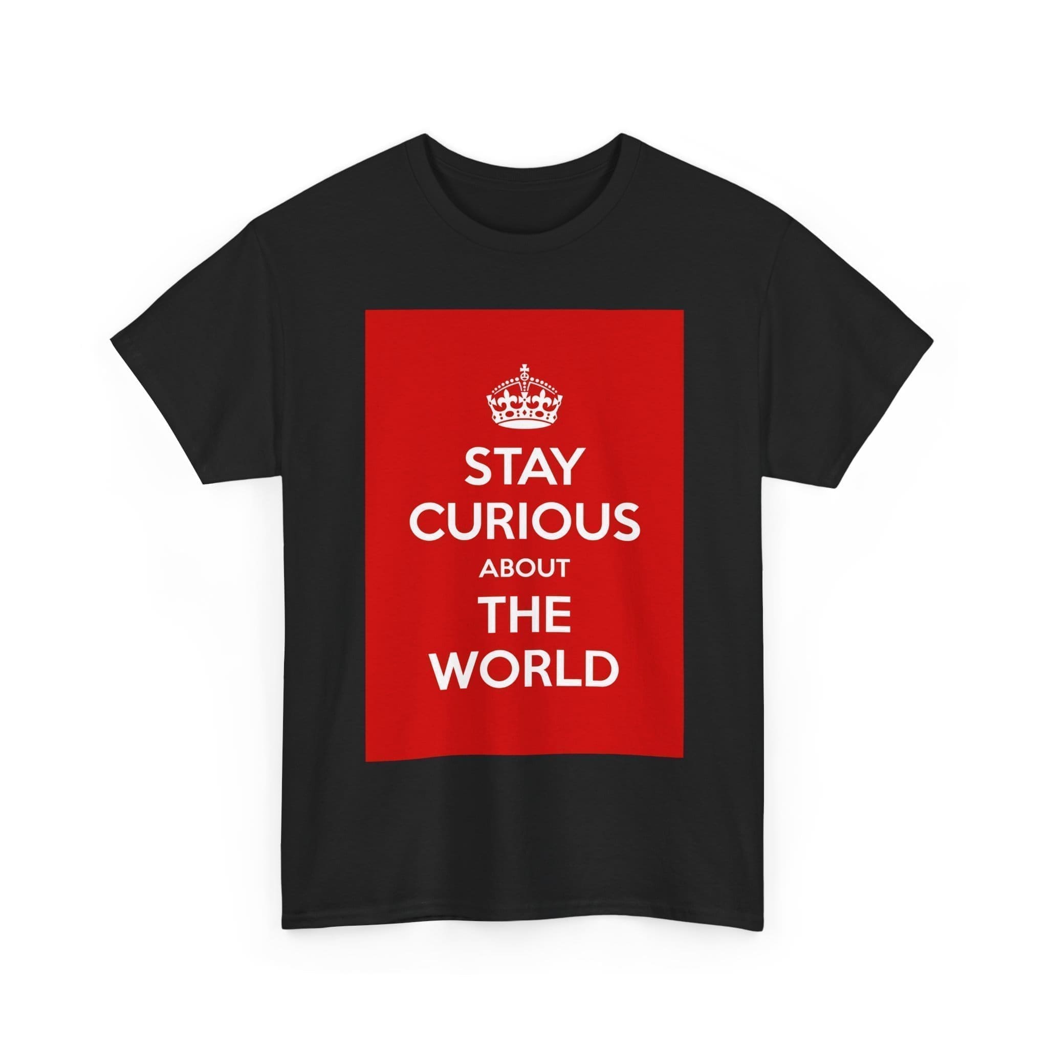 Stay Curious about the world unisex heavy cotton tee _7_2048.jpeg Stay Curious about the world unisex heavy cotton tee _7_2048.jpeg