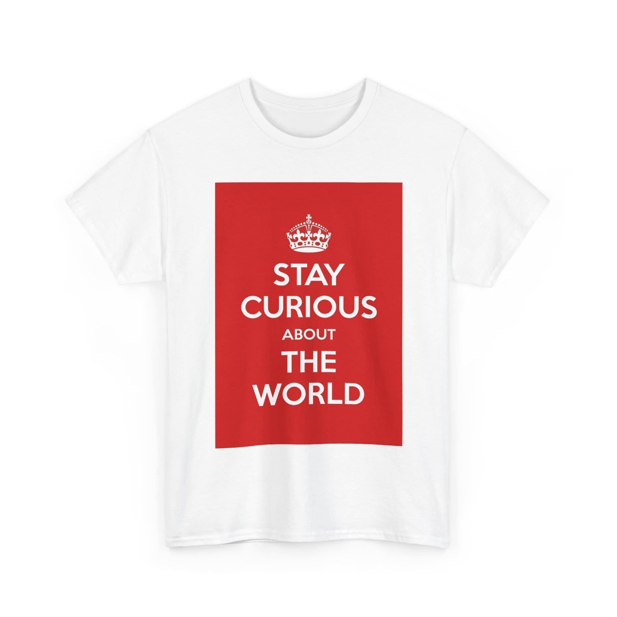 Stay Curious about the world unisex heavy cotton tee _3_2048.jpeg Stay Curious about the world unisex heavy cotton tee _3_2048.jpeg