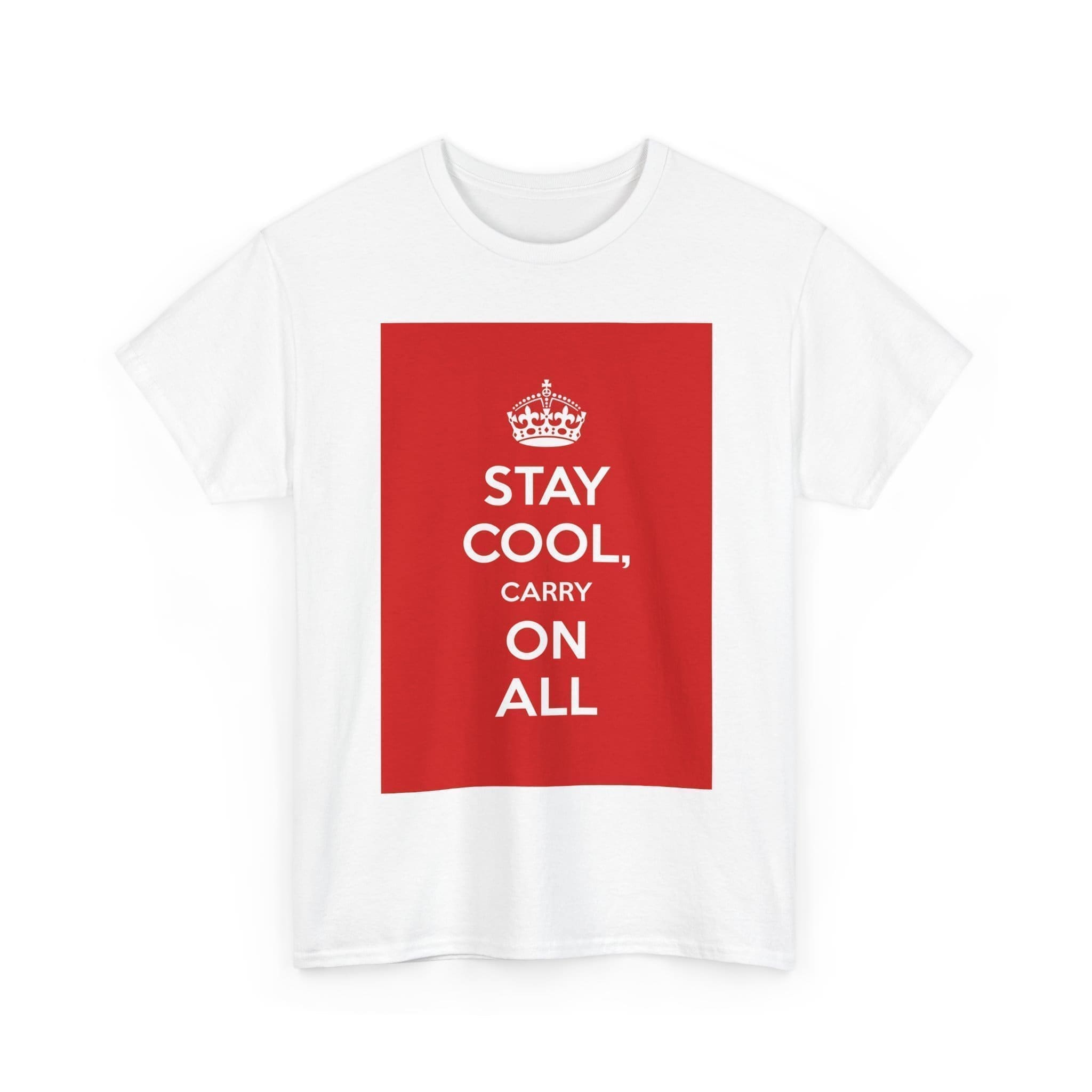 Stay Cool carry on all unisex heavy cotton tee  _3_2048.jpeg
